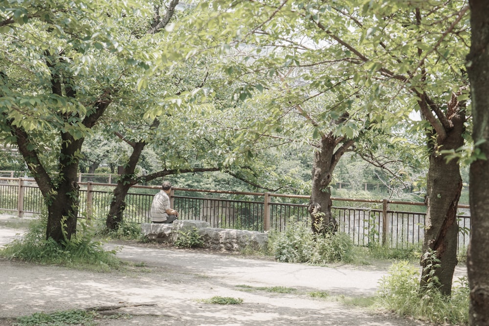a man sitting on a bench in a park