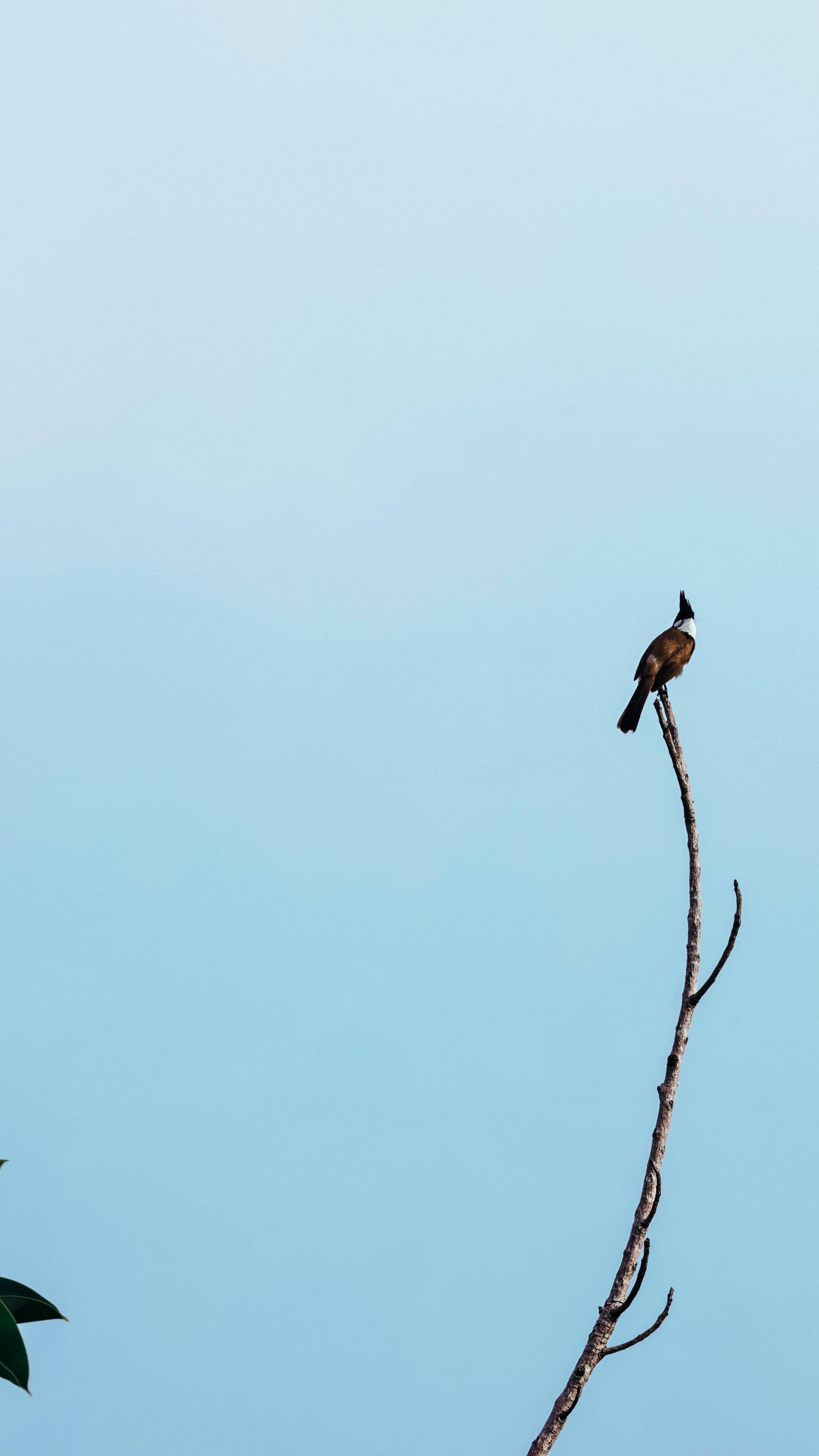 Photo by dickenslin76