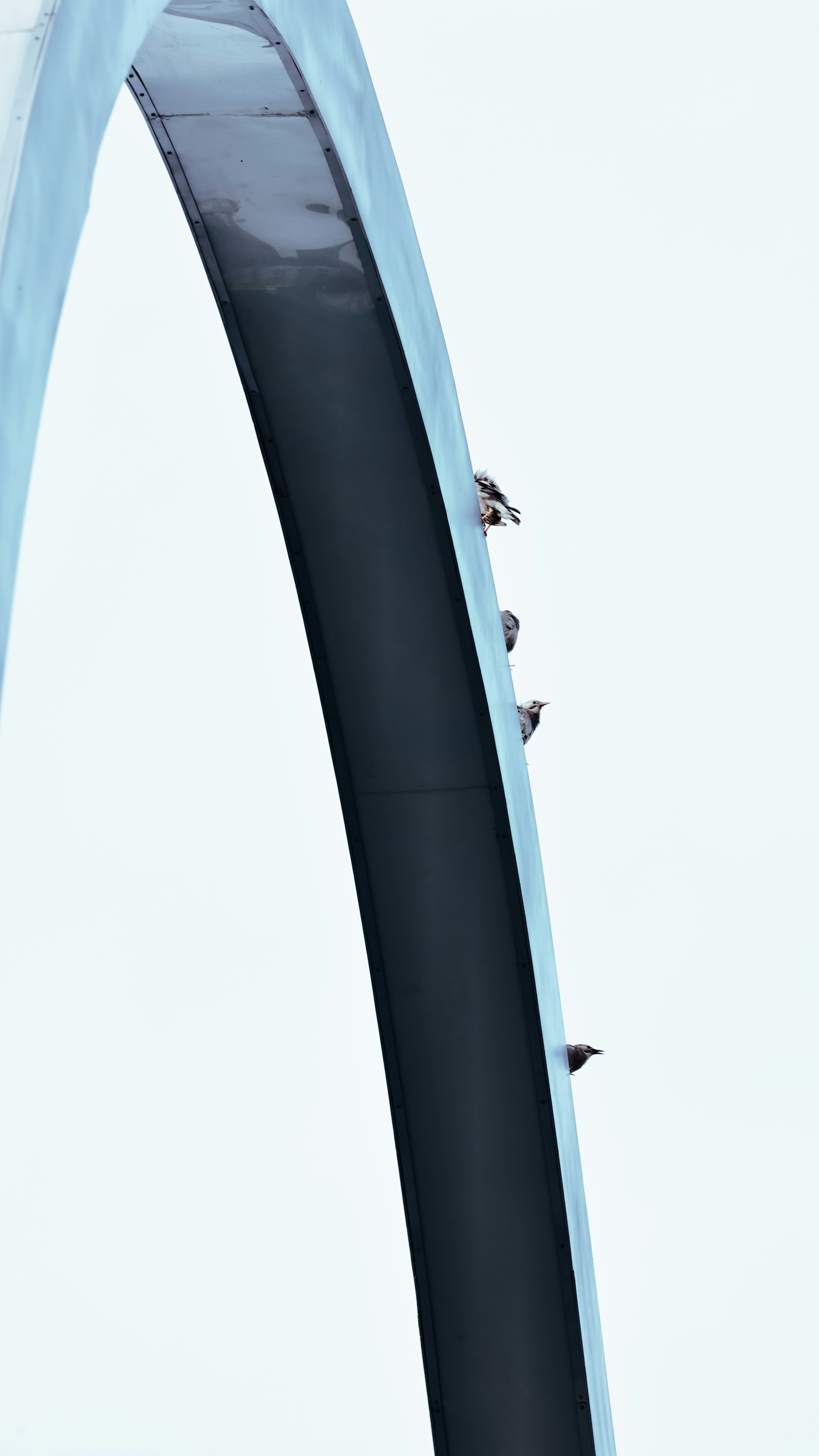 Polybahn Funicular photo 2