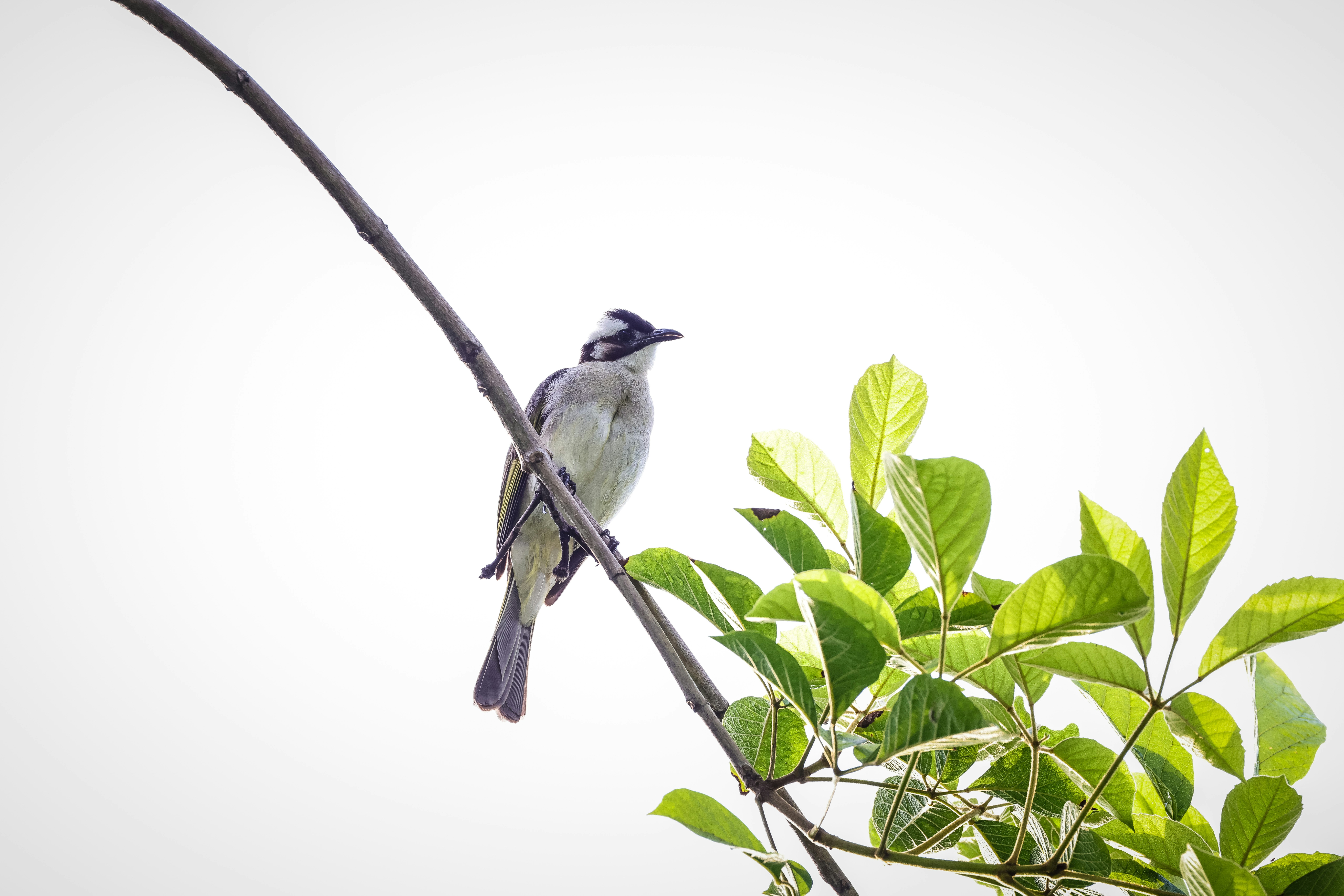 Photo by dickenslin76