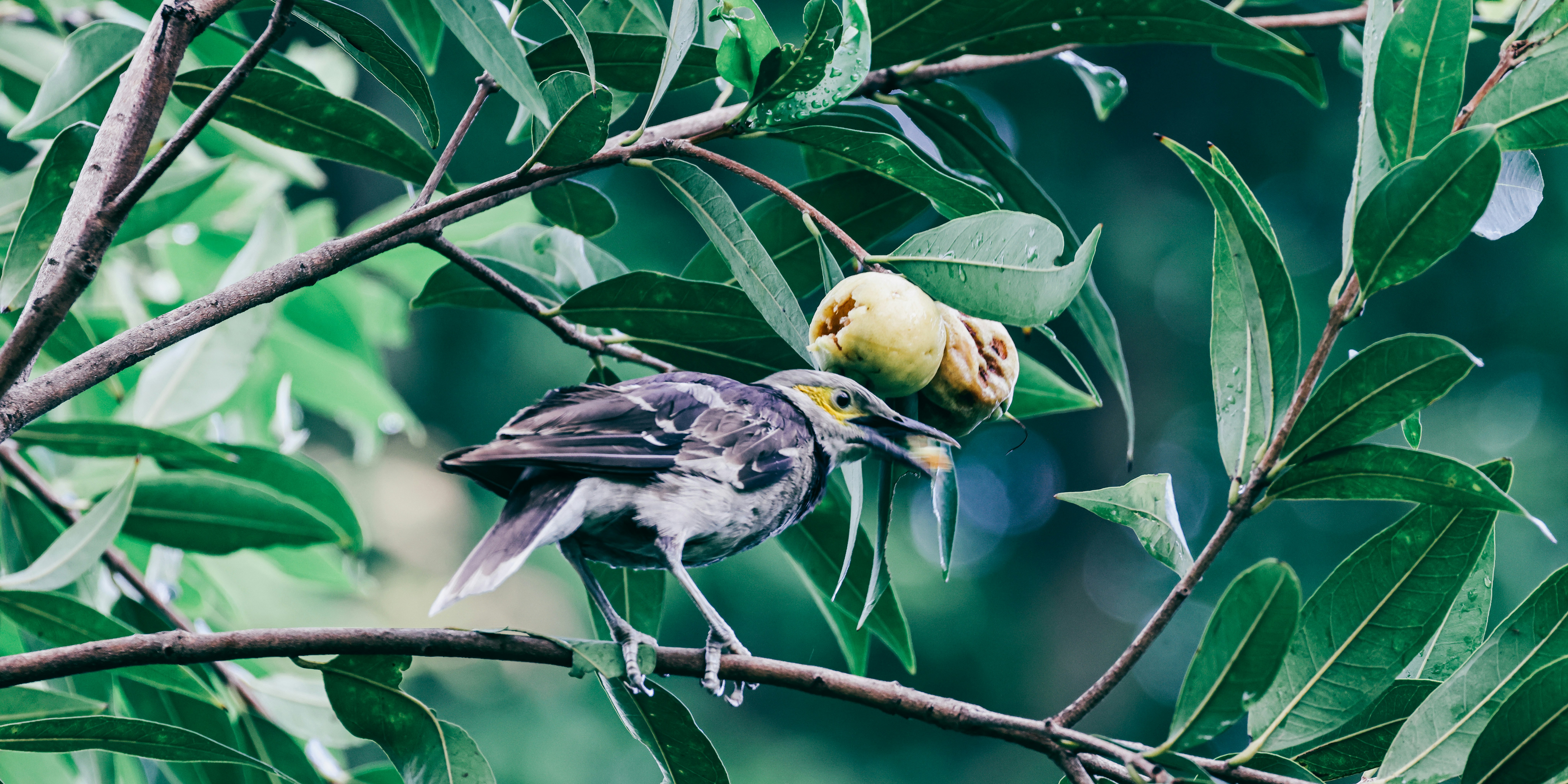 Photo by dickenslin76