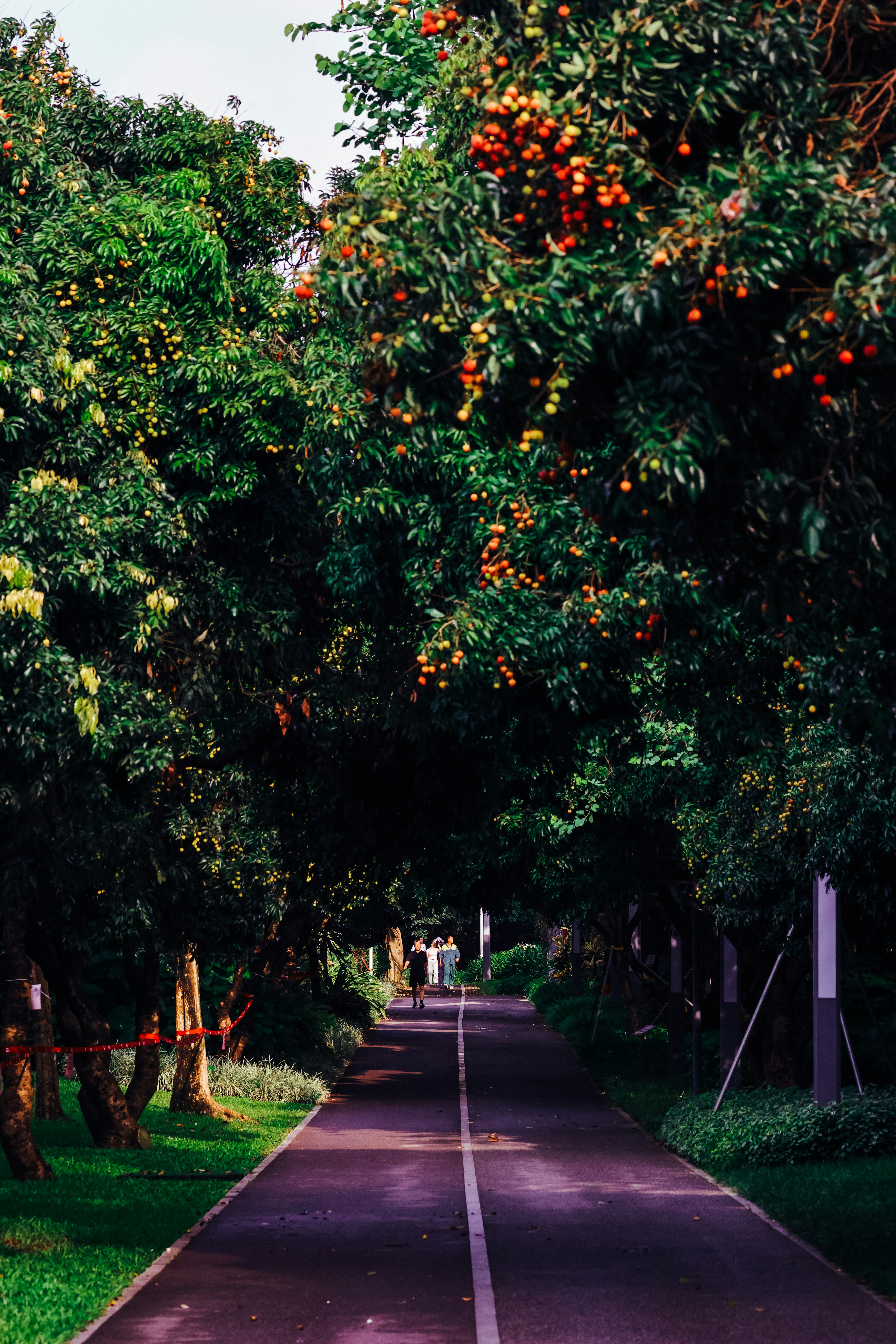 Photo by dickenslin76