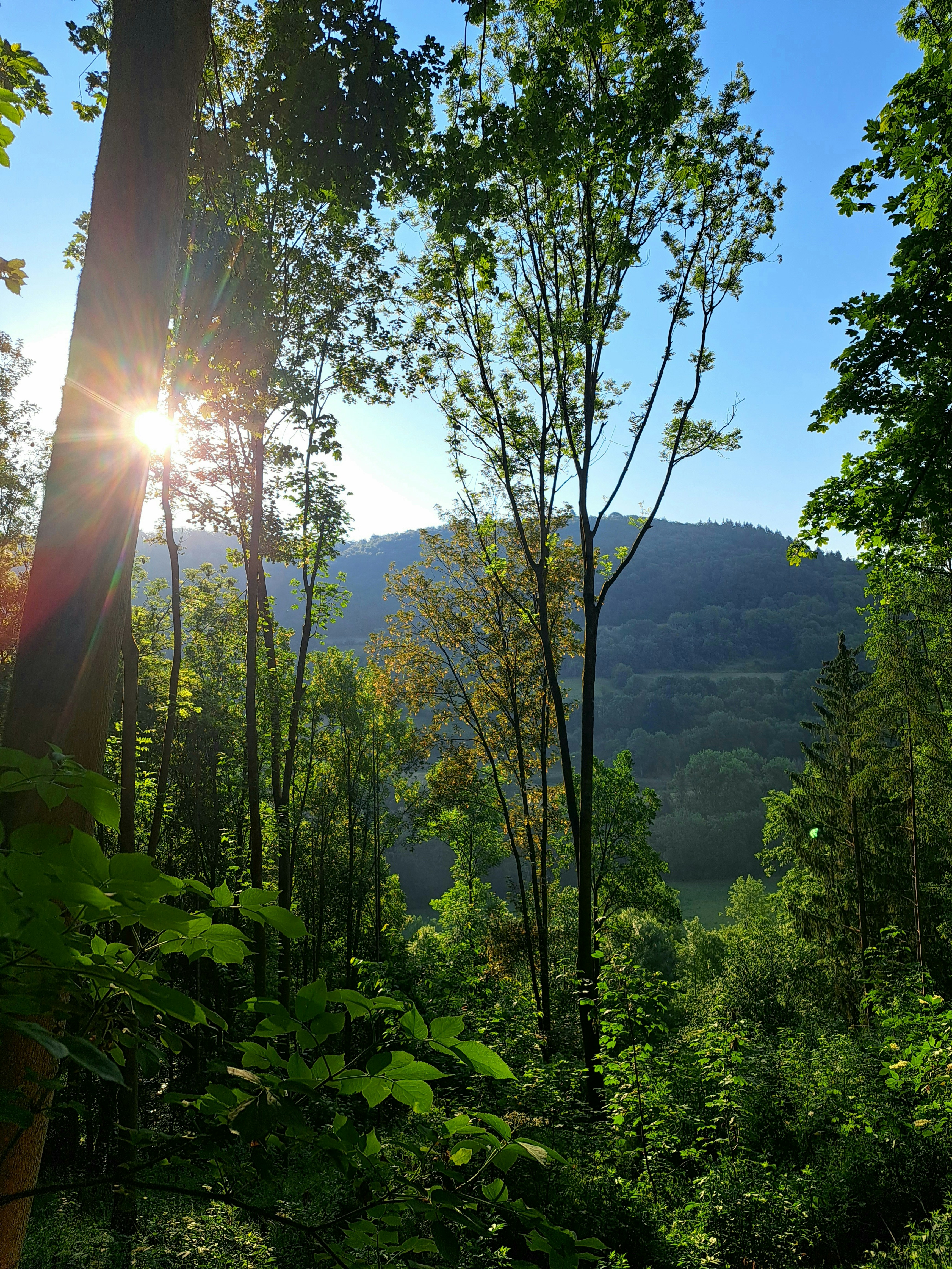 Photo by schreibmich
