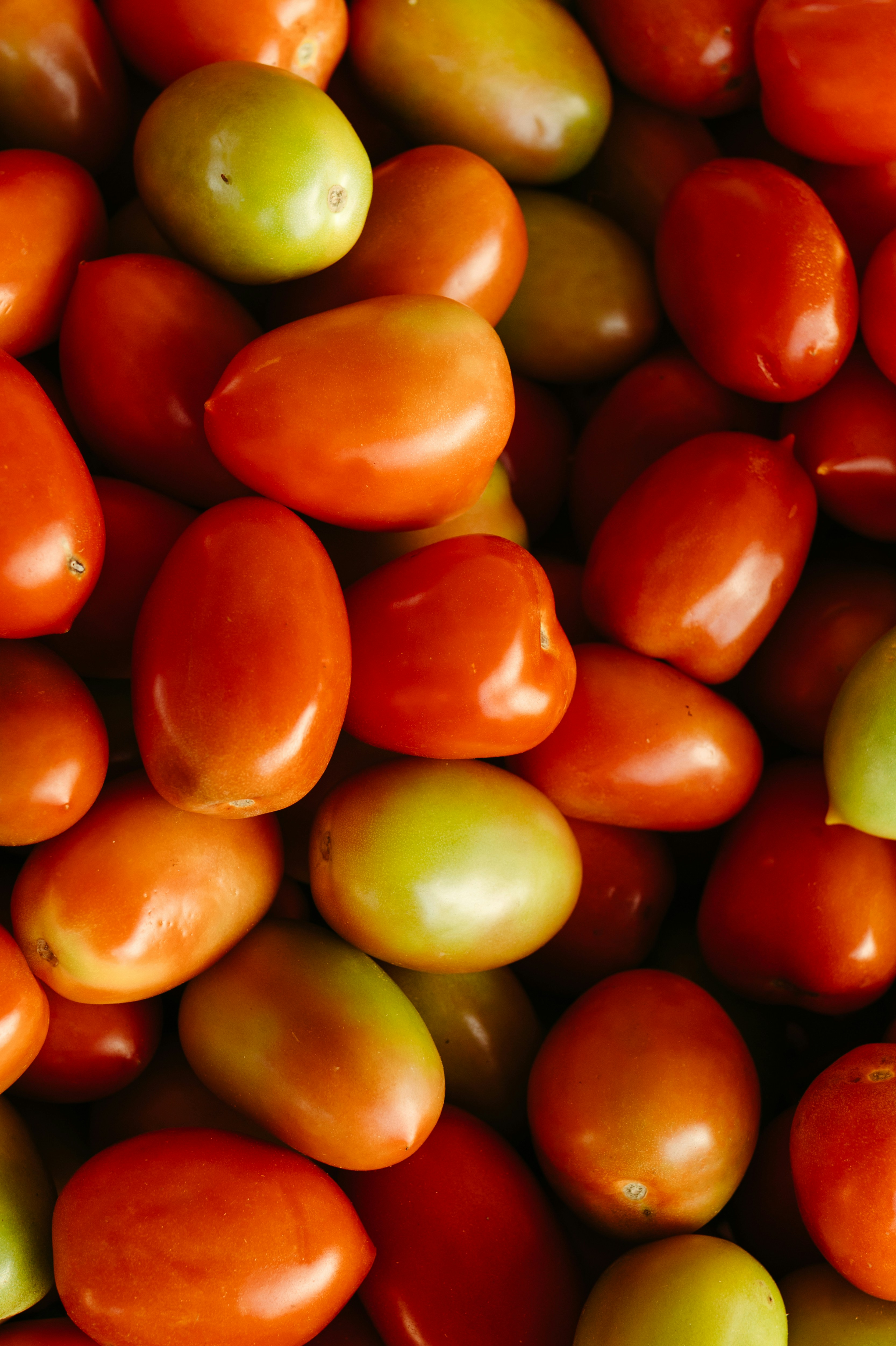 Photo by jonathanborba