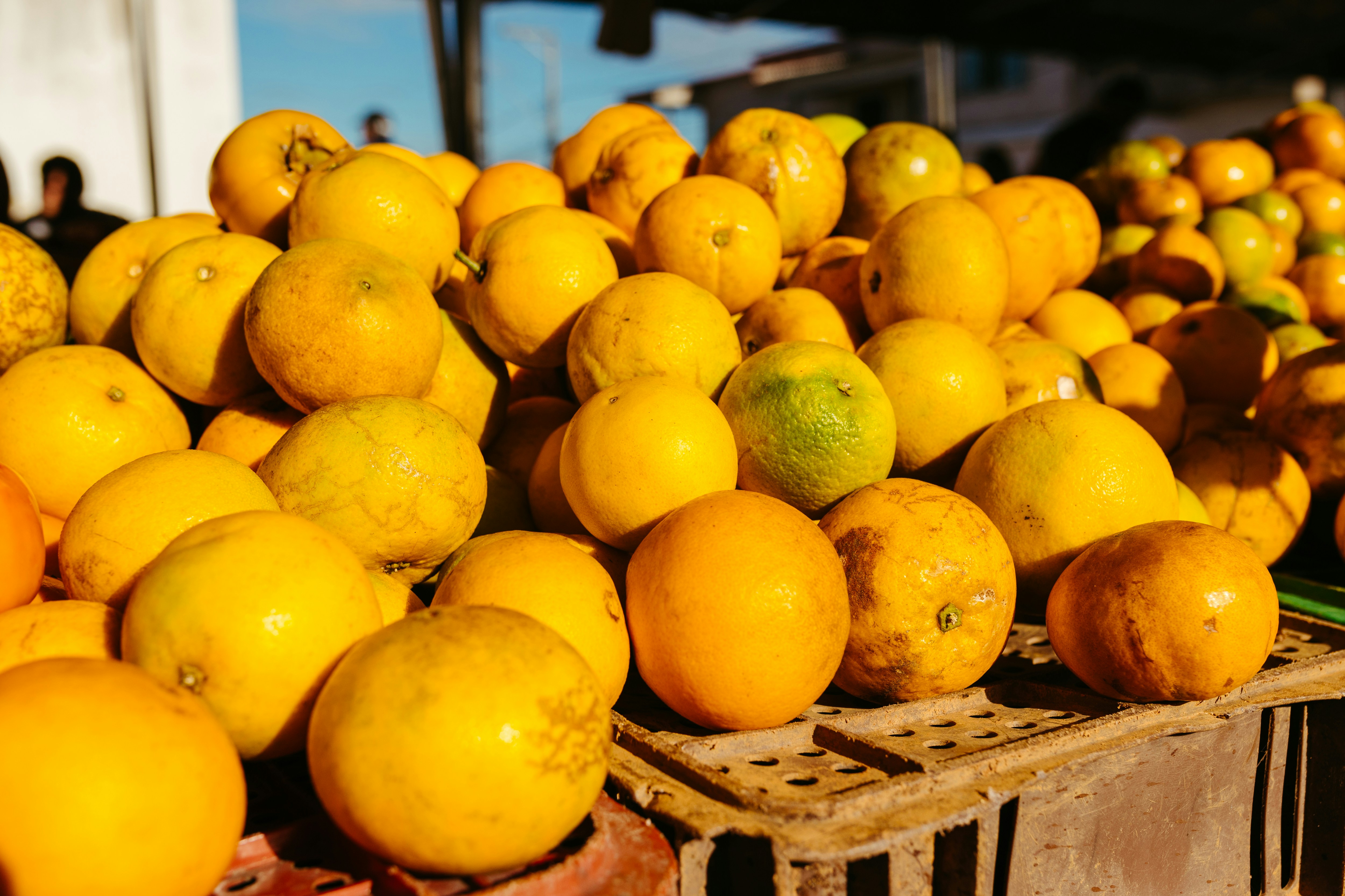 Photo by jonathanborba