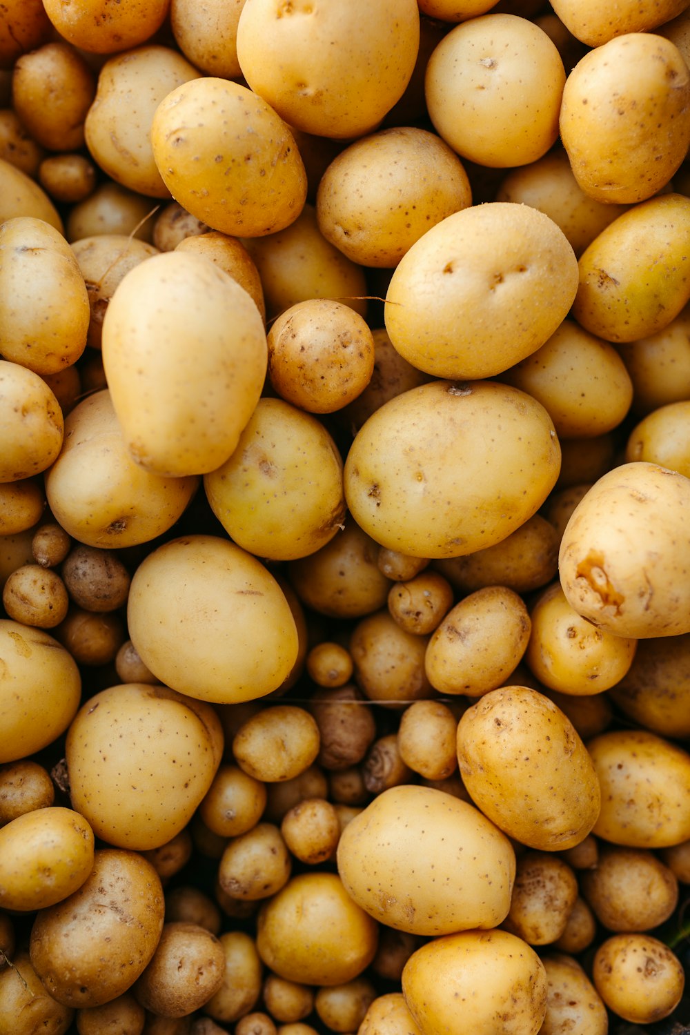 a pile of potatoes sitting next to each other