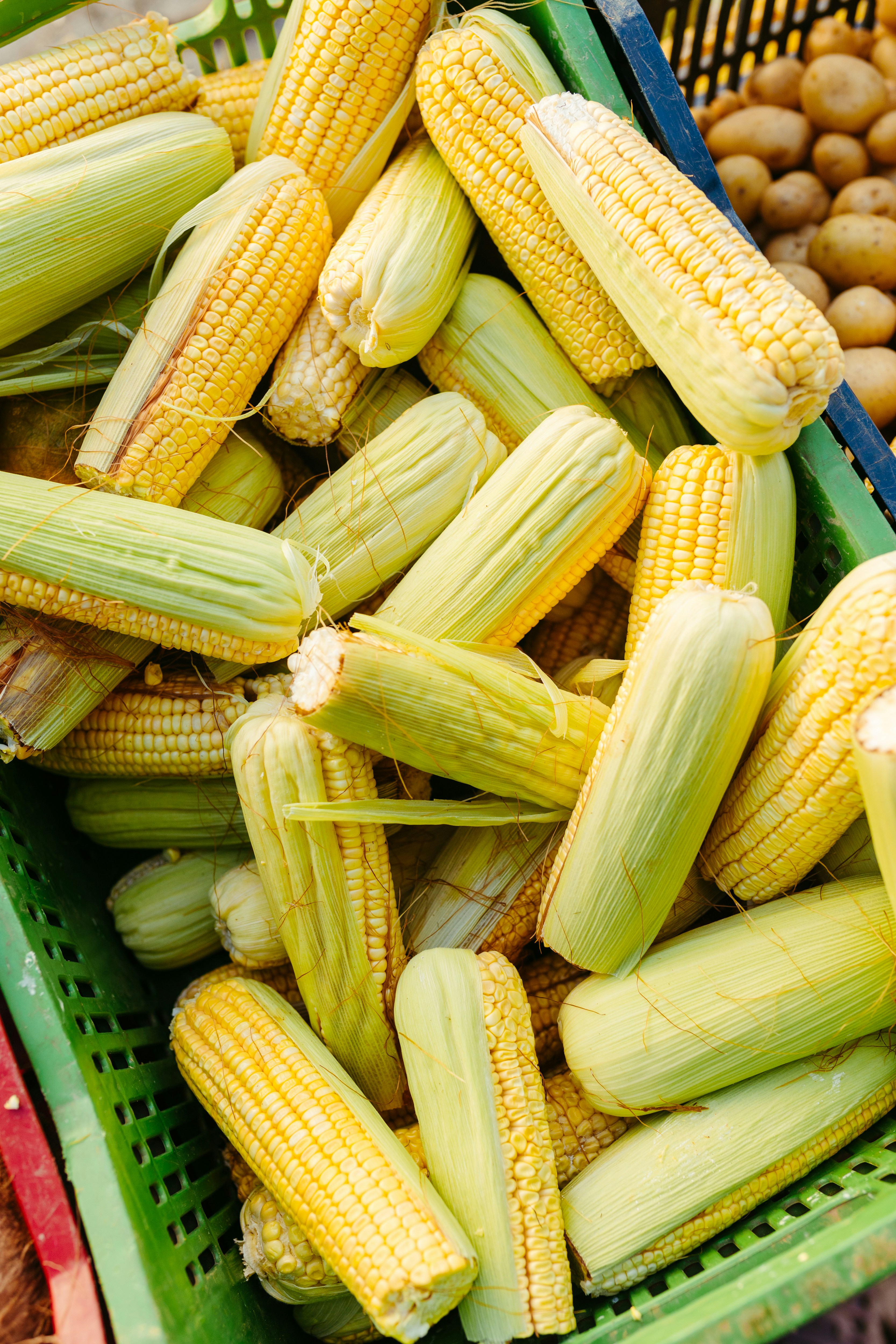 Photo by jonathanborba