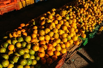 A large assortment of fruits, mainly oranges and limes, is displayed in plastic crates. The fruits are organized in neat rows, with oranges predominantly on the right and limes on the left. The crates add a variety of color to the scene, creating a warm and inviting market atmosphere.