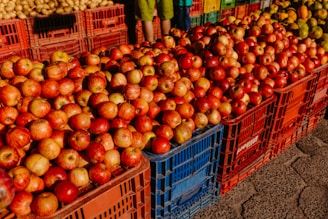 A market scene with numerous red apples stacked in colorful crates, primarily red and blue. In the background, more crates contain potatoes and other produce. The atmosphere is sunlit, hinting at an outdoor or open market setting.
