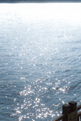 A serene body of water reflects bright sunlight, creating sparkles on the surface. The scene is tranquil with soft ripples, and a wooden railing with a sign is visible in the bottom right corner.