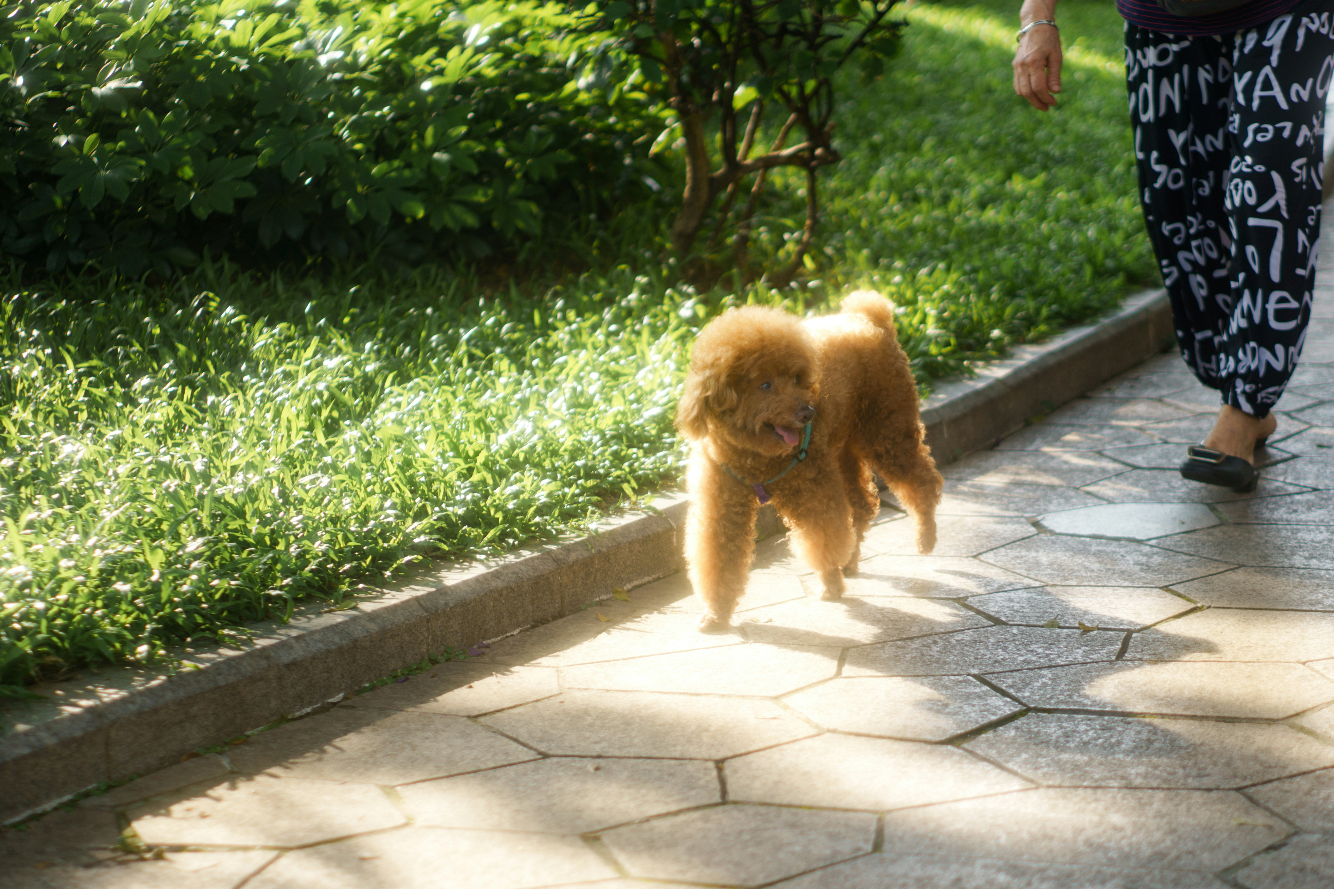 The Link Between Nail Length and Activity
