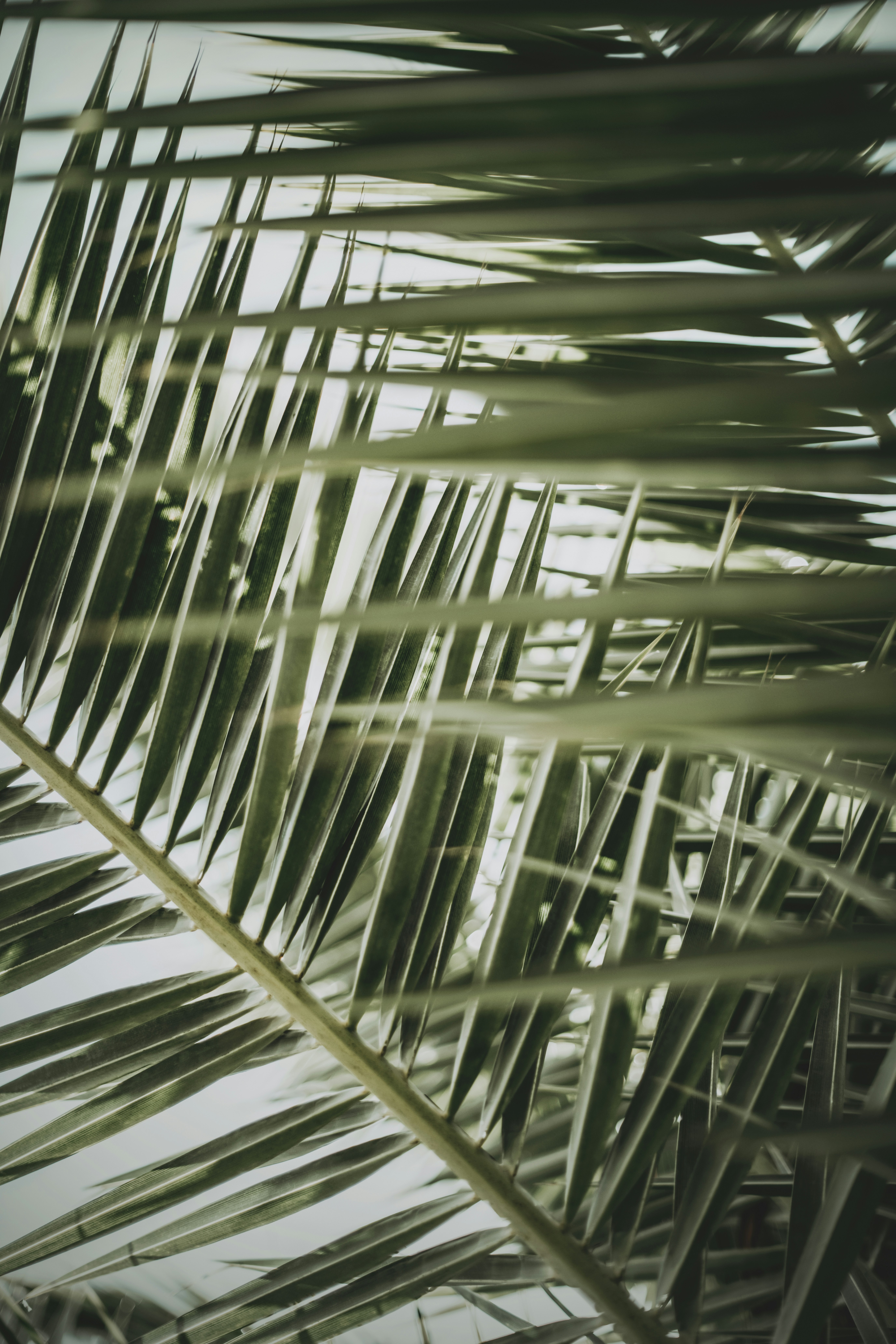 Photo by timmossholder