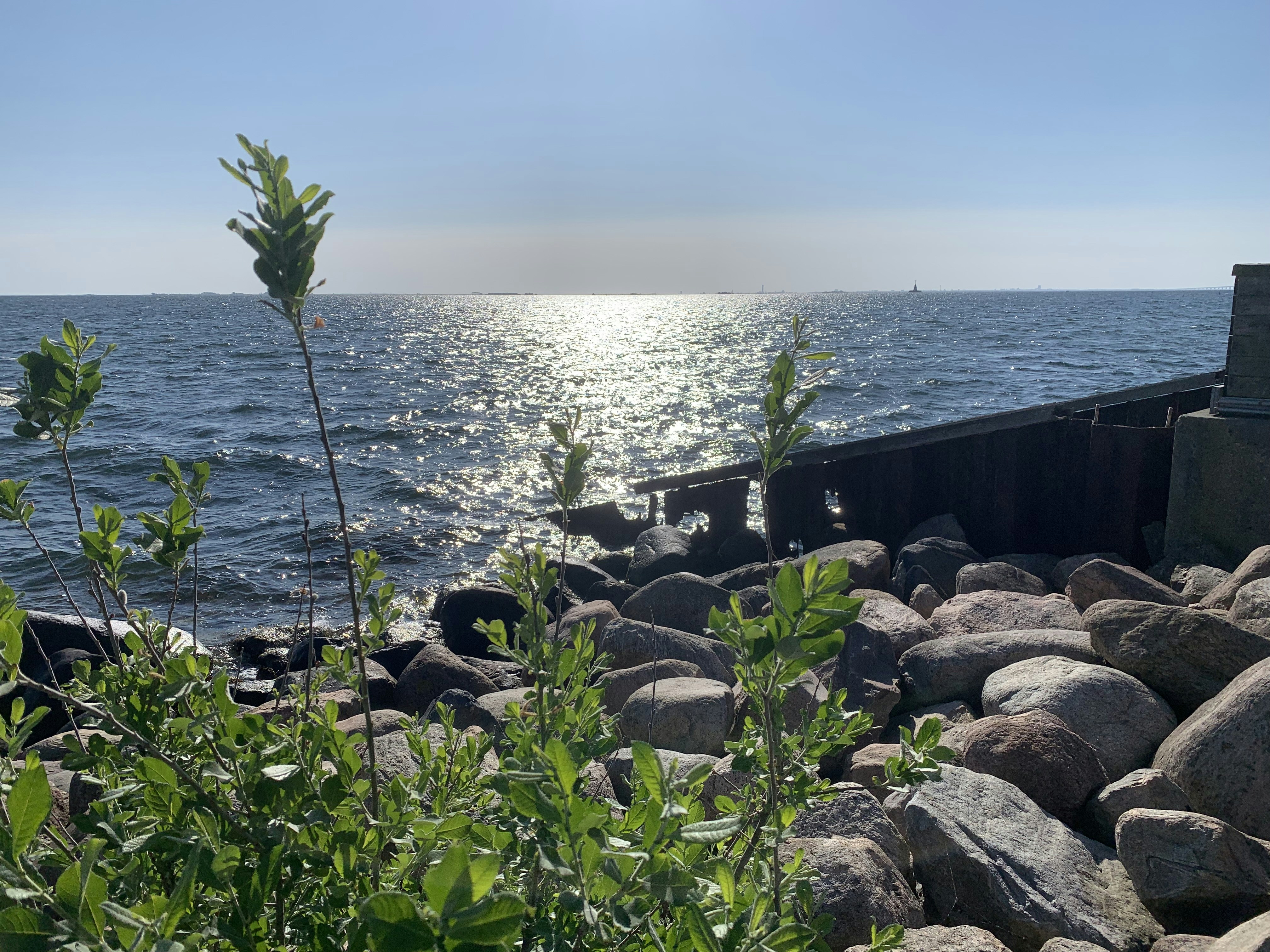 Photo by parikshit74