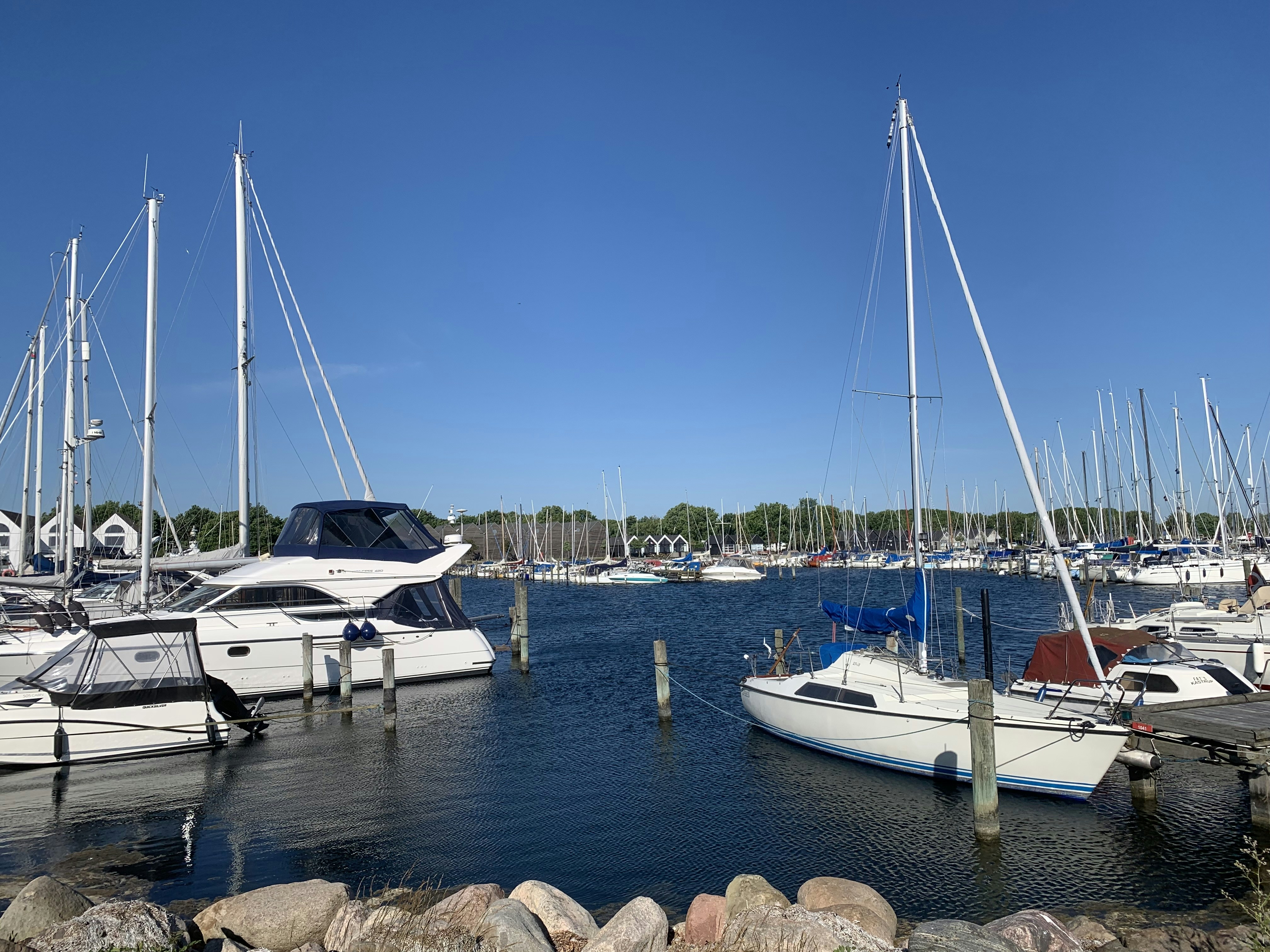 Photo by parikshit74