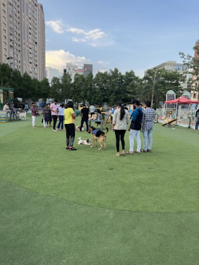 People are gathered in a park with dogs. The setting includes a grassy area surrounded by tall buildings and trees. The sky is partly cloudy, and the mood is relaxed and social. A mix of individuals are chatting and interacting with their pets.
