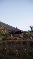 A sturdy wooden gazebo nestled among flowering plants in a backyard.
