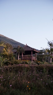 A sturdy wooden gazebo nestled among flowering plants in a backyard.
