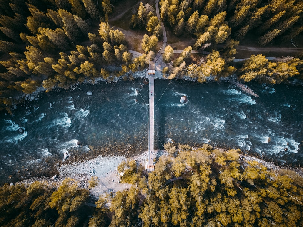 an aerial view of a road in the middle of a forest