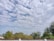 A scenic view of Borobudur temple surrounded by lush greenery and a clear blue sky.