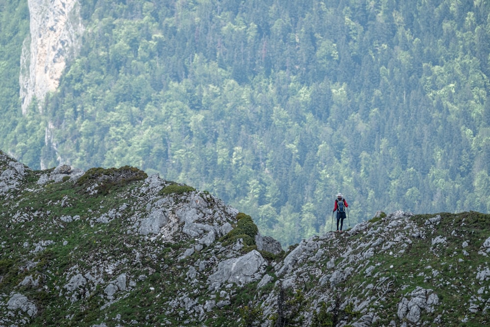 a man standing on top of a lush green hillside