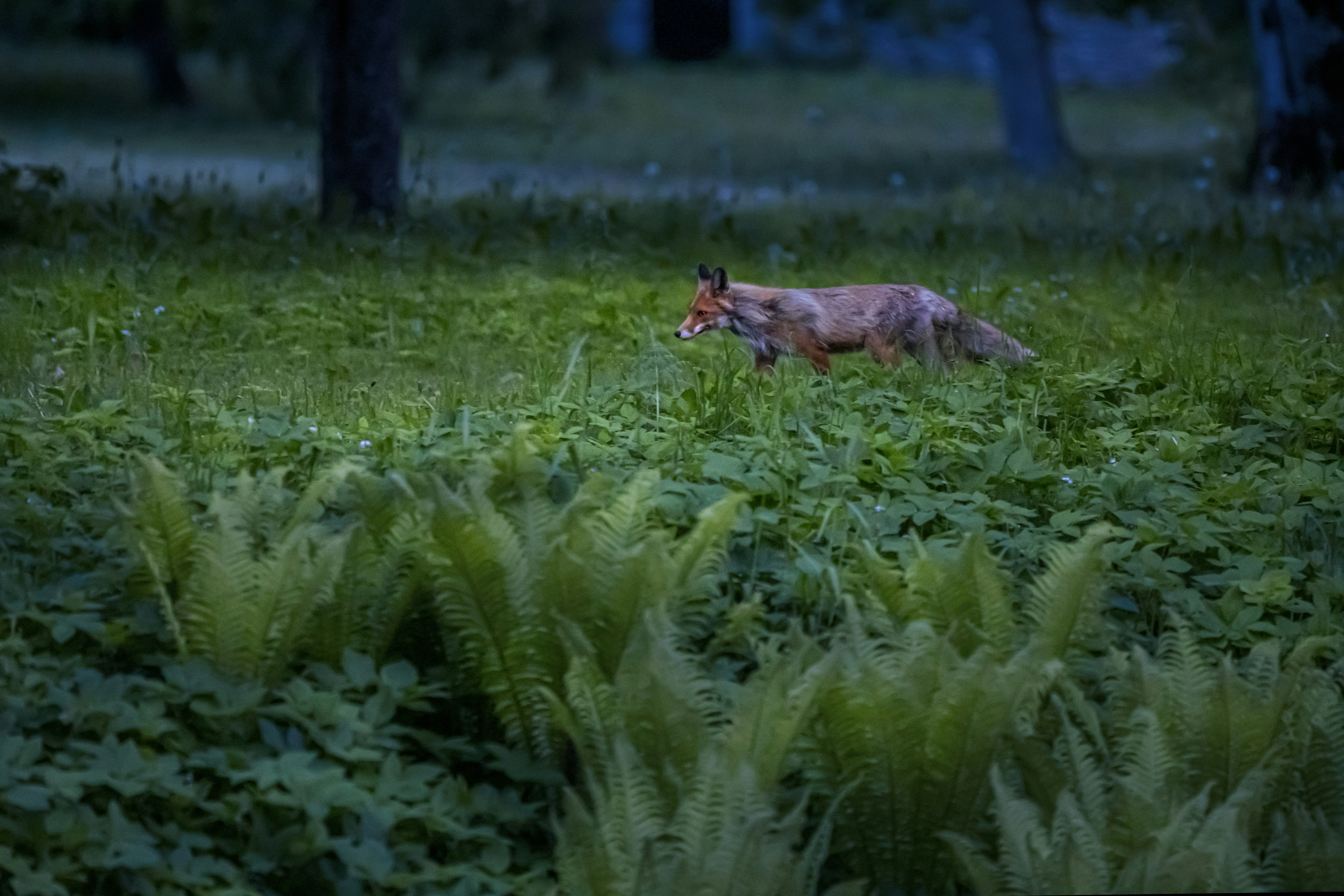 Photo by erik_karits