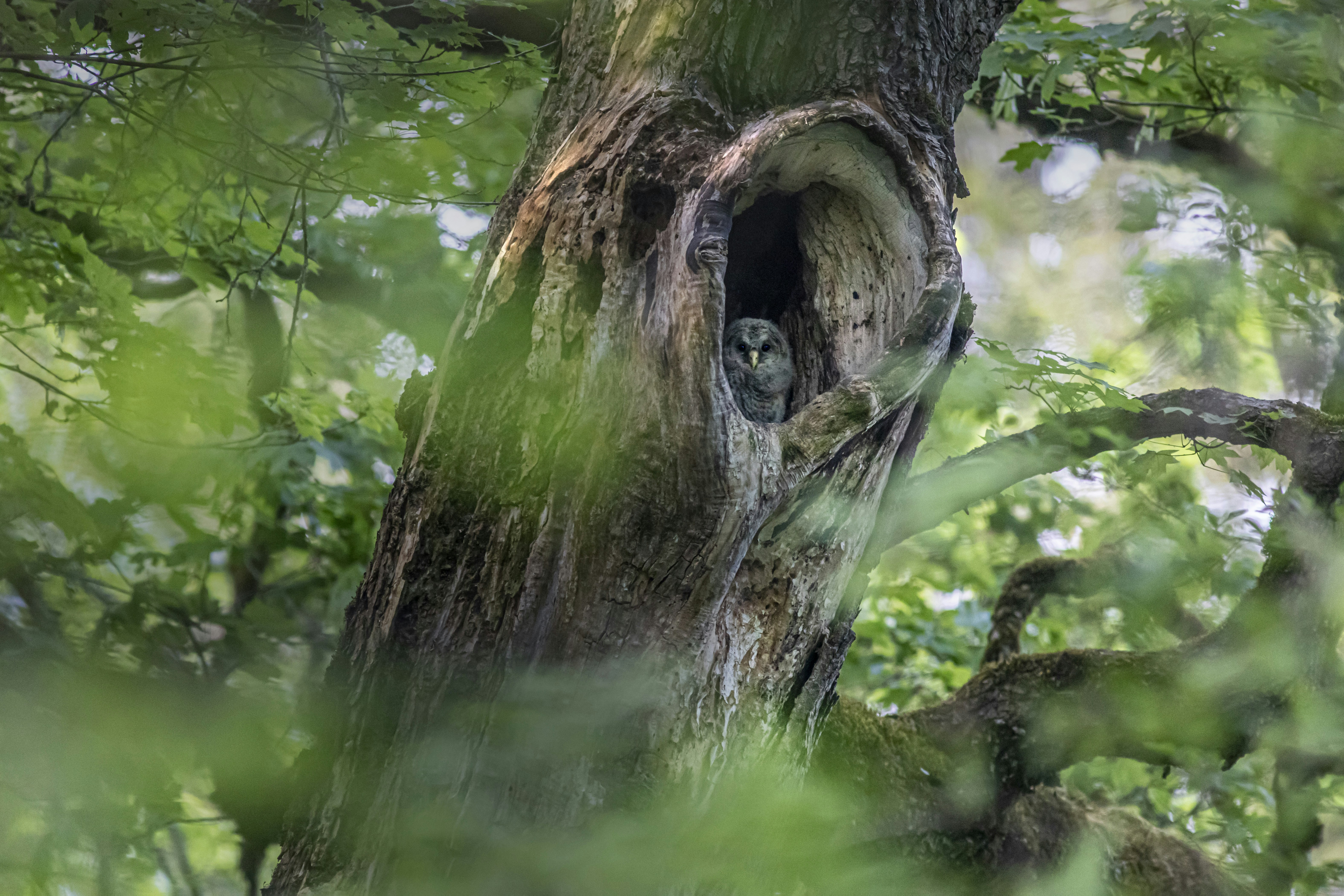 Photo by erik_karits