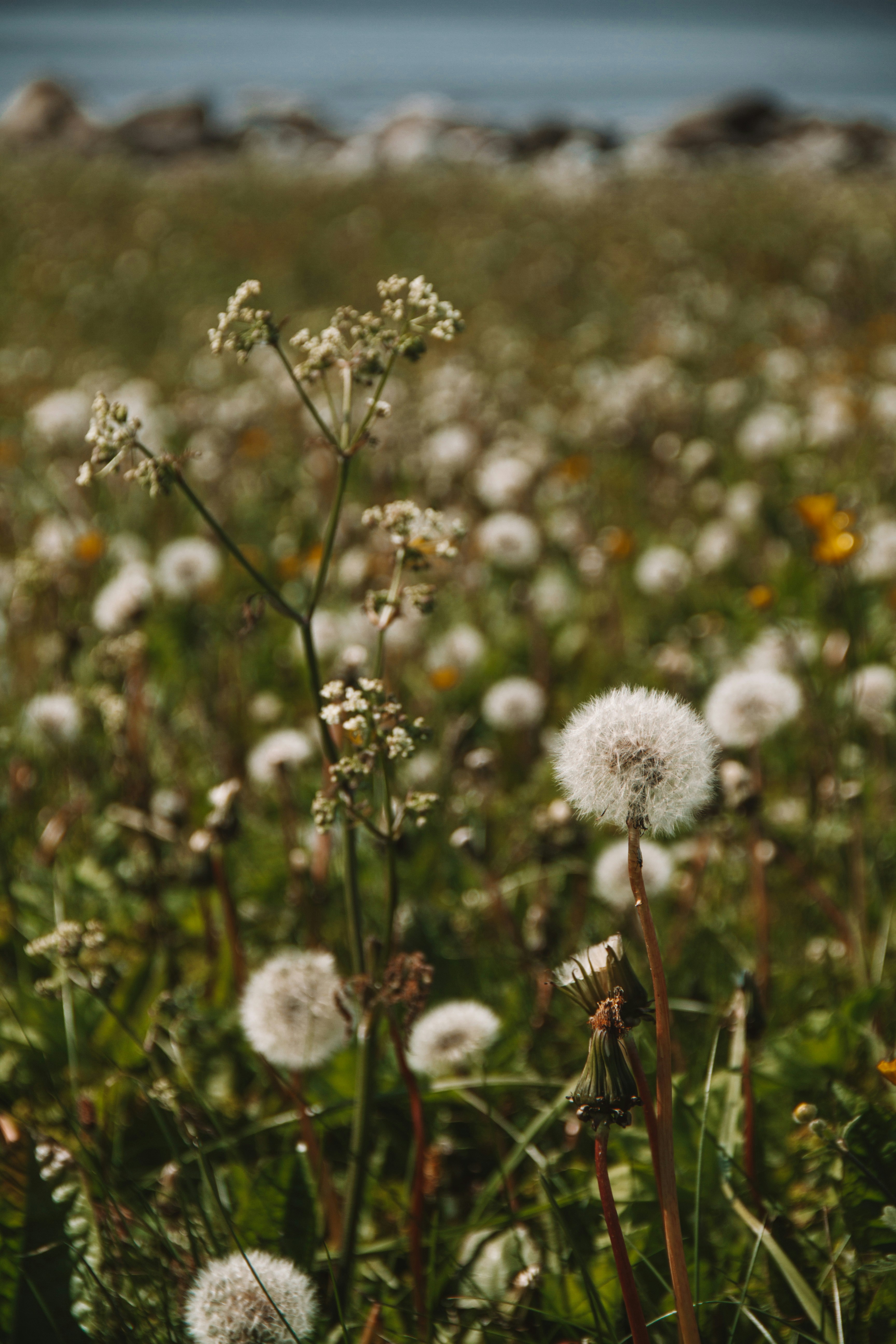 Photo by ingridmartinussen