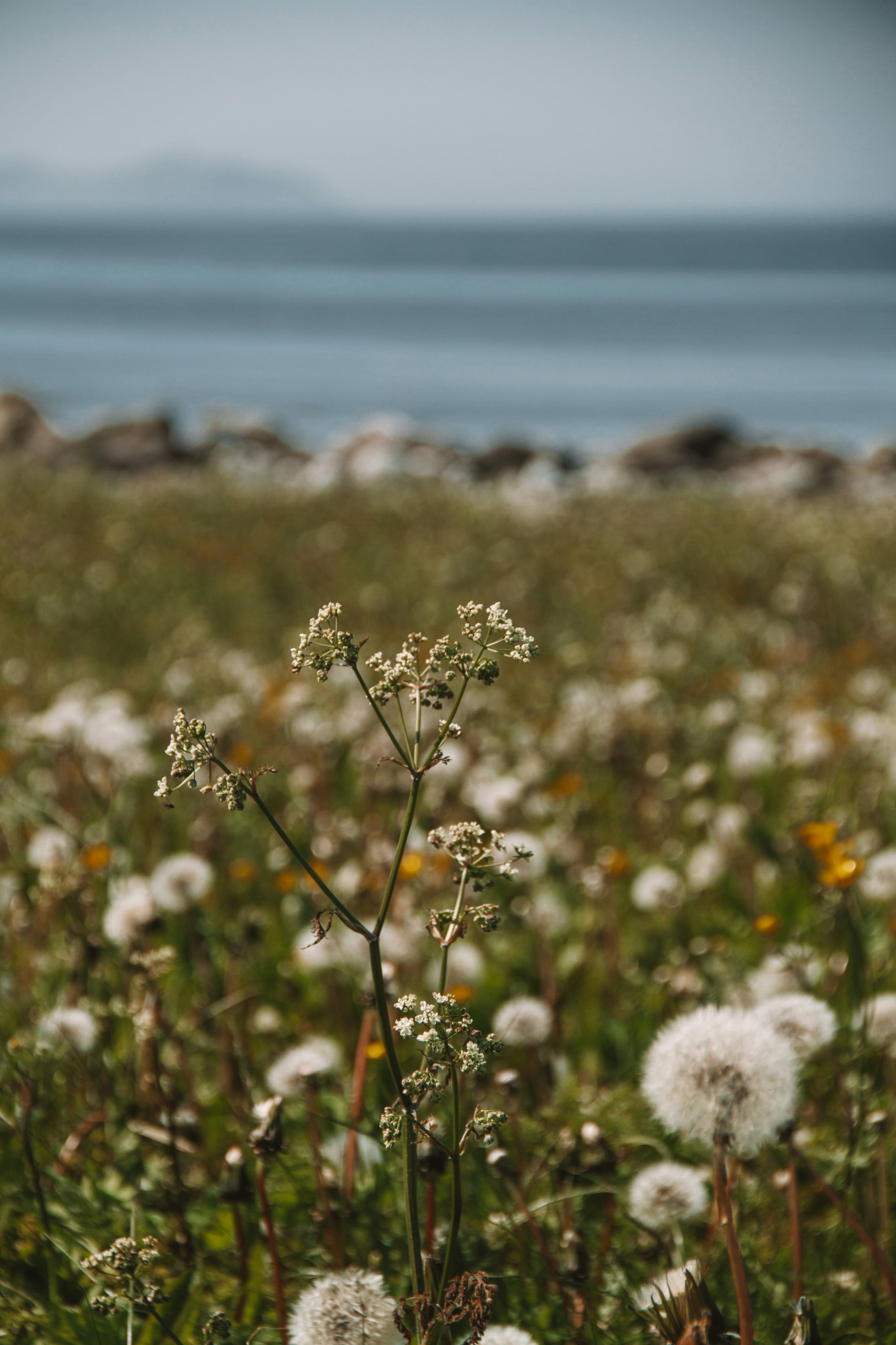 Photo by ingridmartinussen