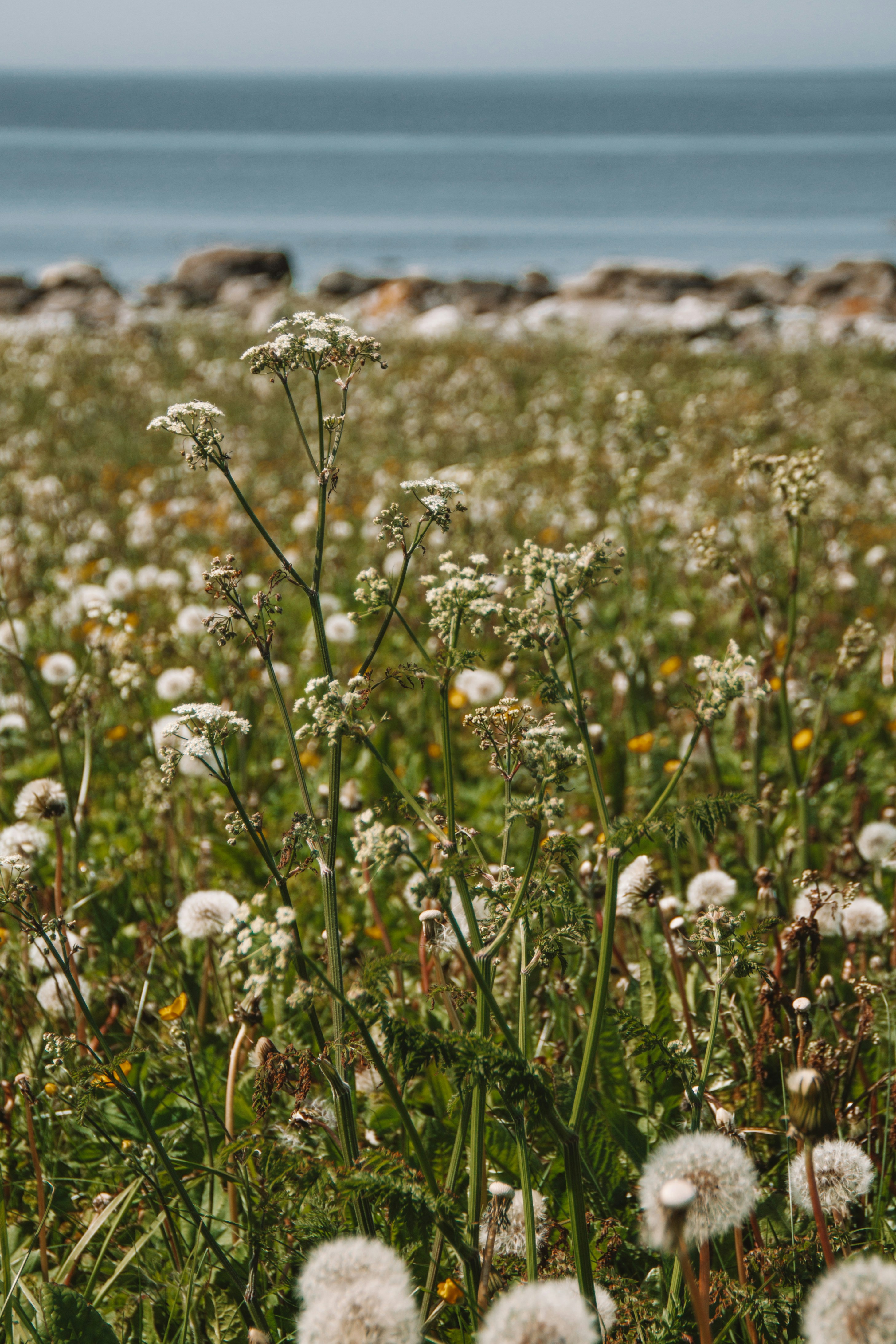 Photo by ingridmartinussen