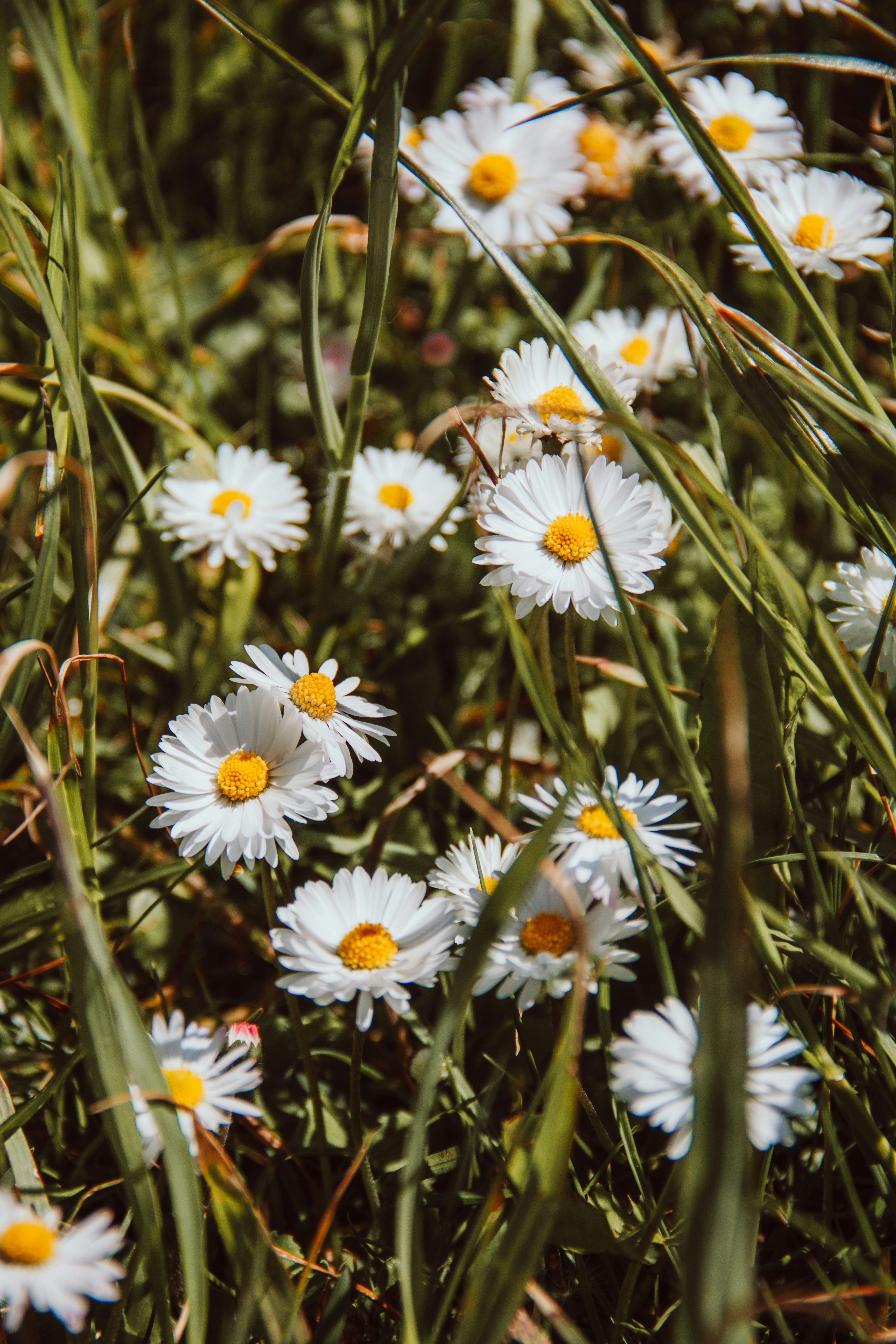 Photo by ingridmartinussen