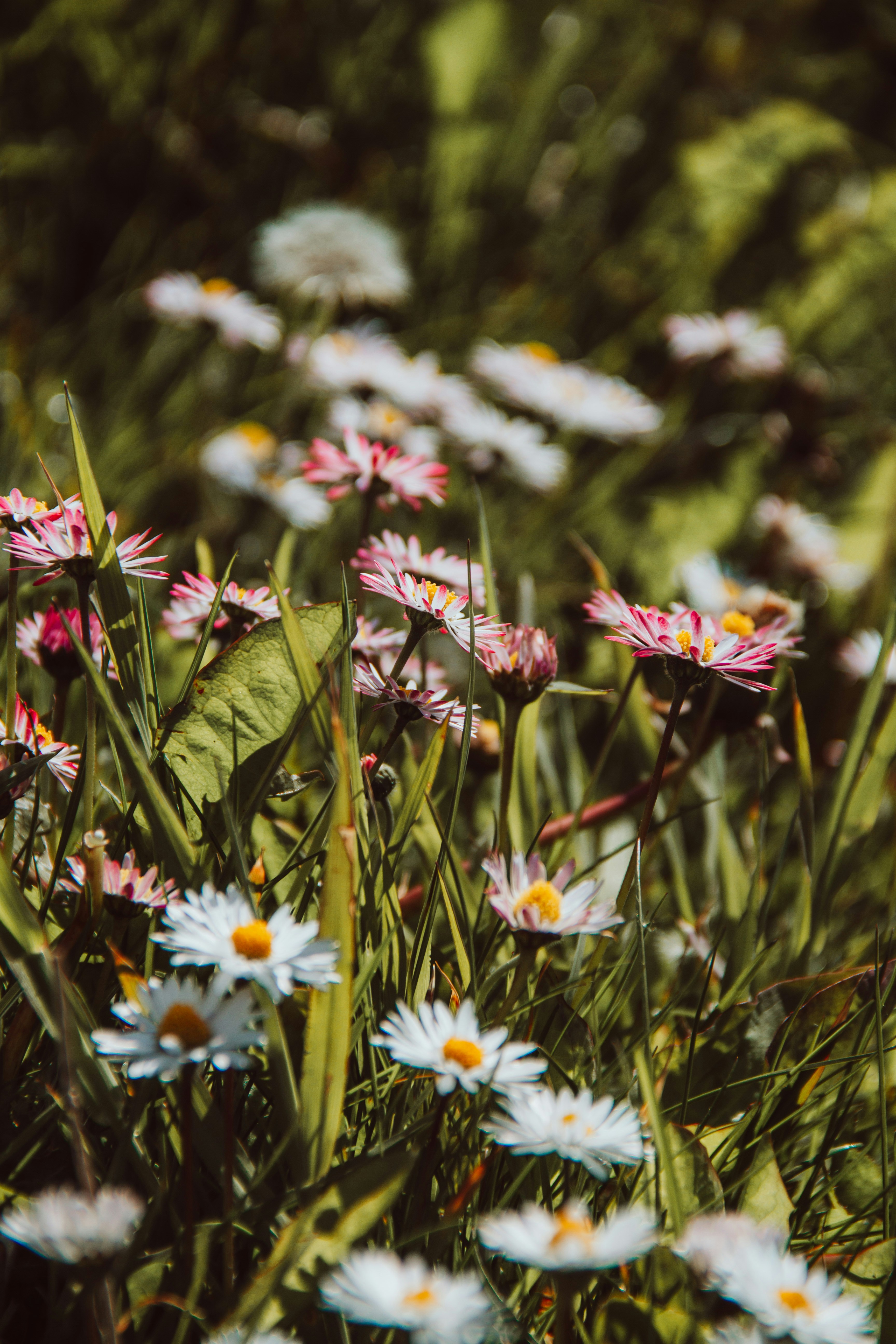 Photo by ingridmartinussen