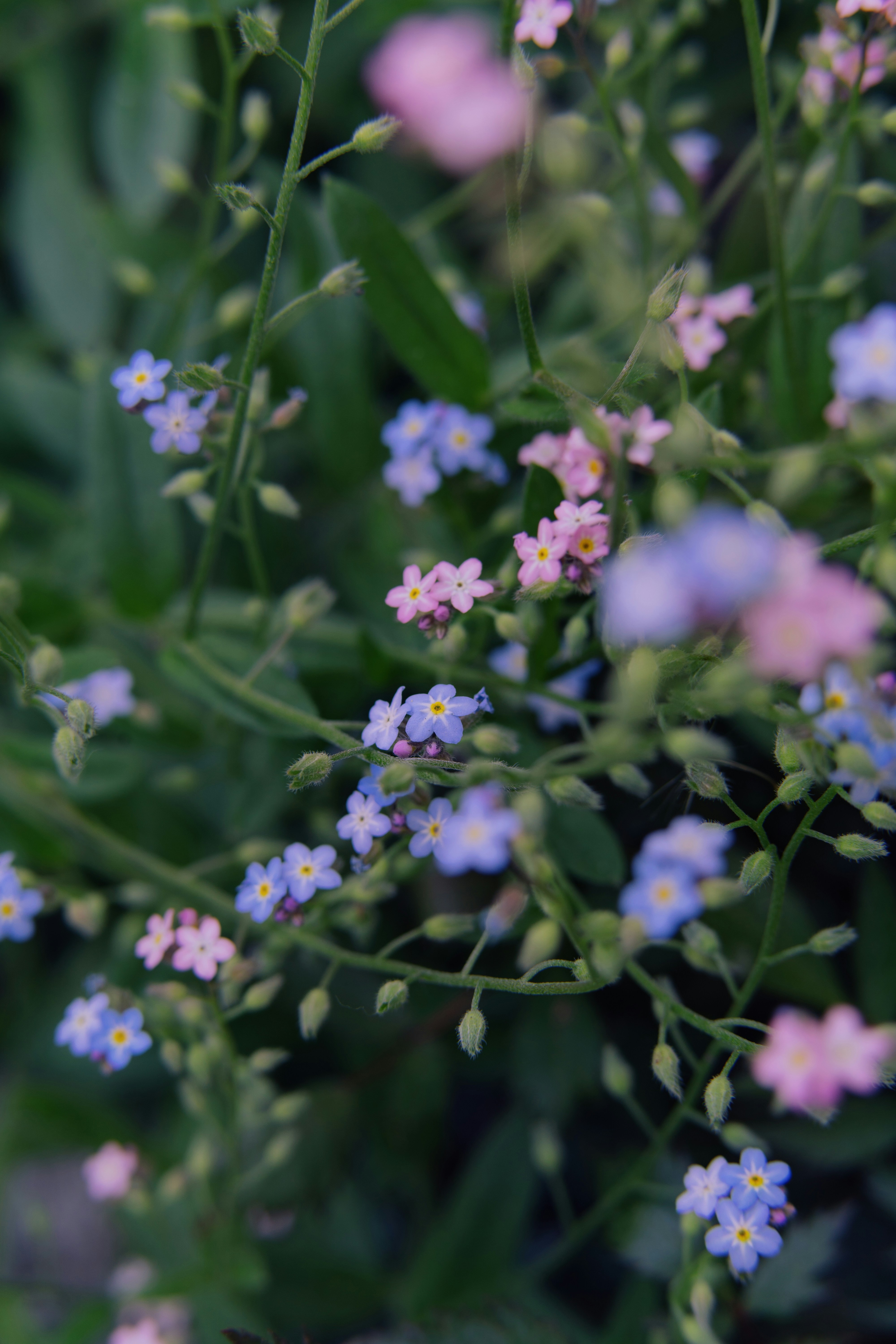 Photo by anamnesis33