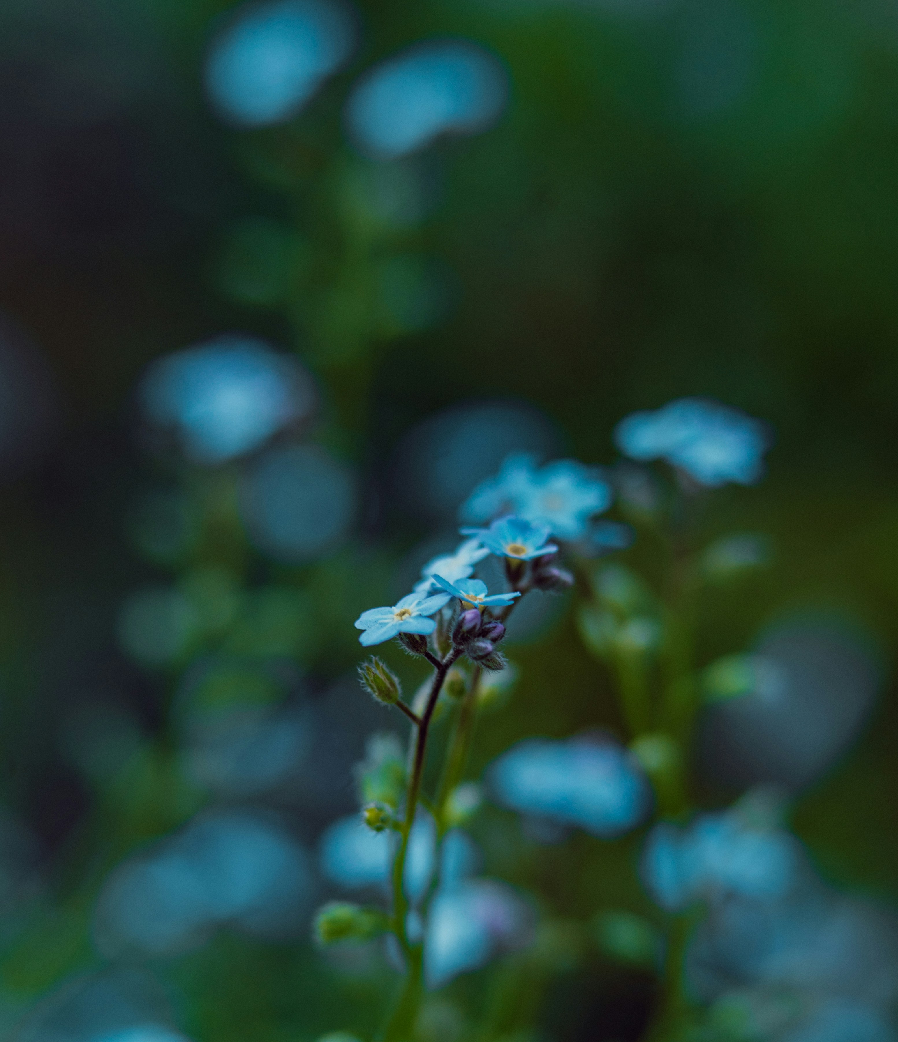 Photo by anamnesis33