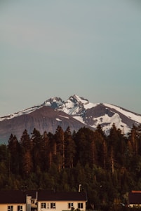 A serene view of forested mountain land with a clear sky hinting at prime homesite locations near snow-capped peaks.