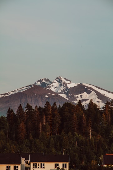 A serene view of forested mountain land with a clear sky hinting at prime homesite locations near snow-capped peaks.