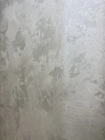 Close-up of a smooth Venetian plaster wall with subtle gray tones.