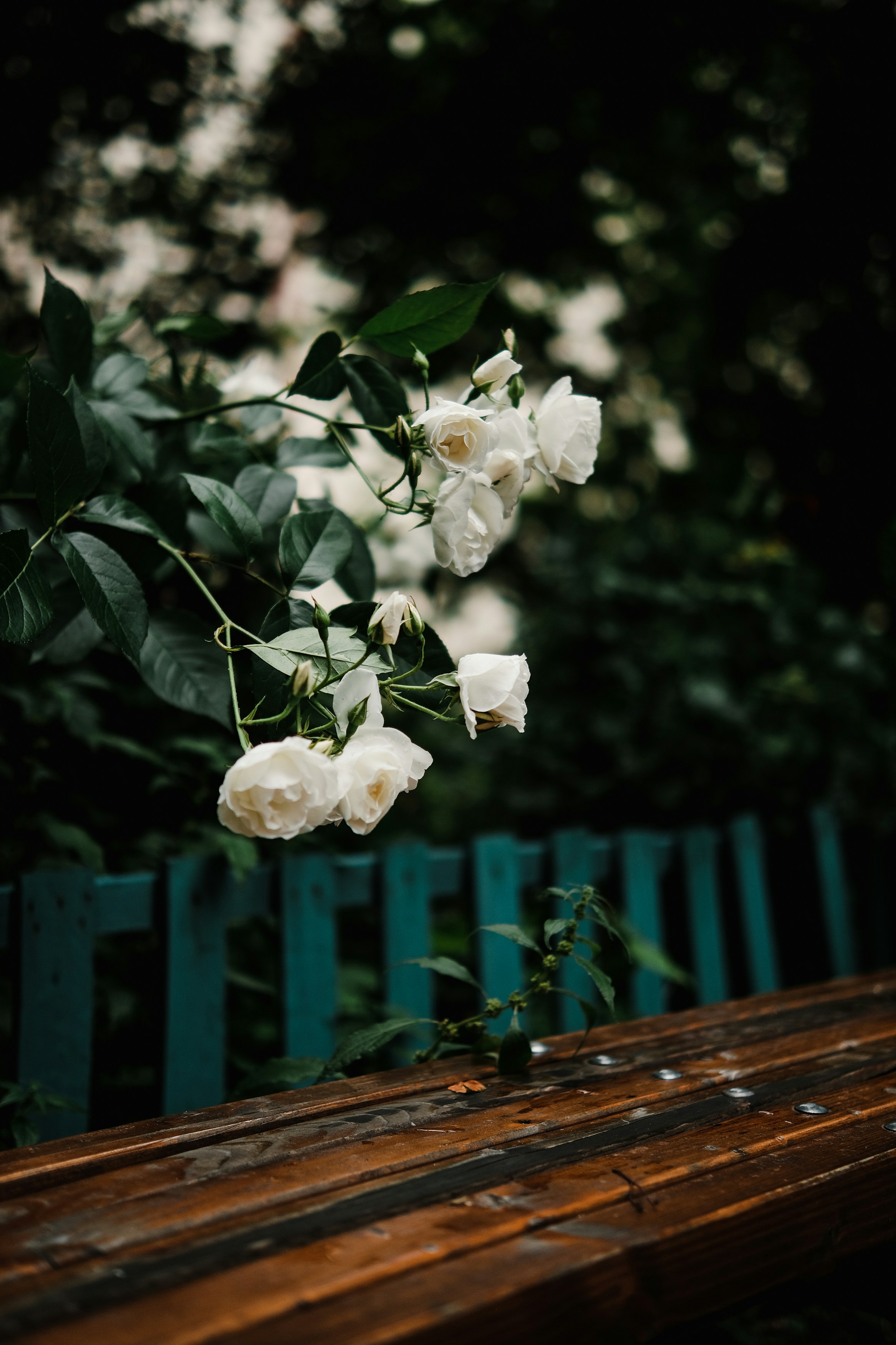 Photo by alluntsyatko