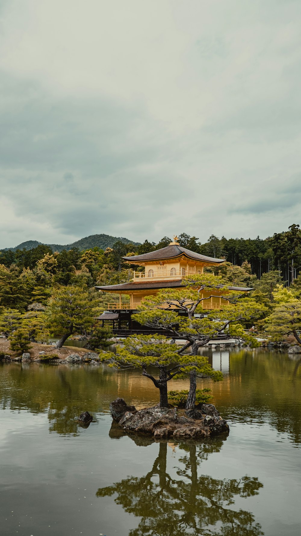 a tree in front of a building in the middle of a lake