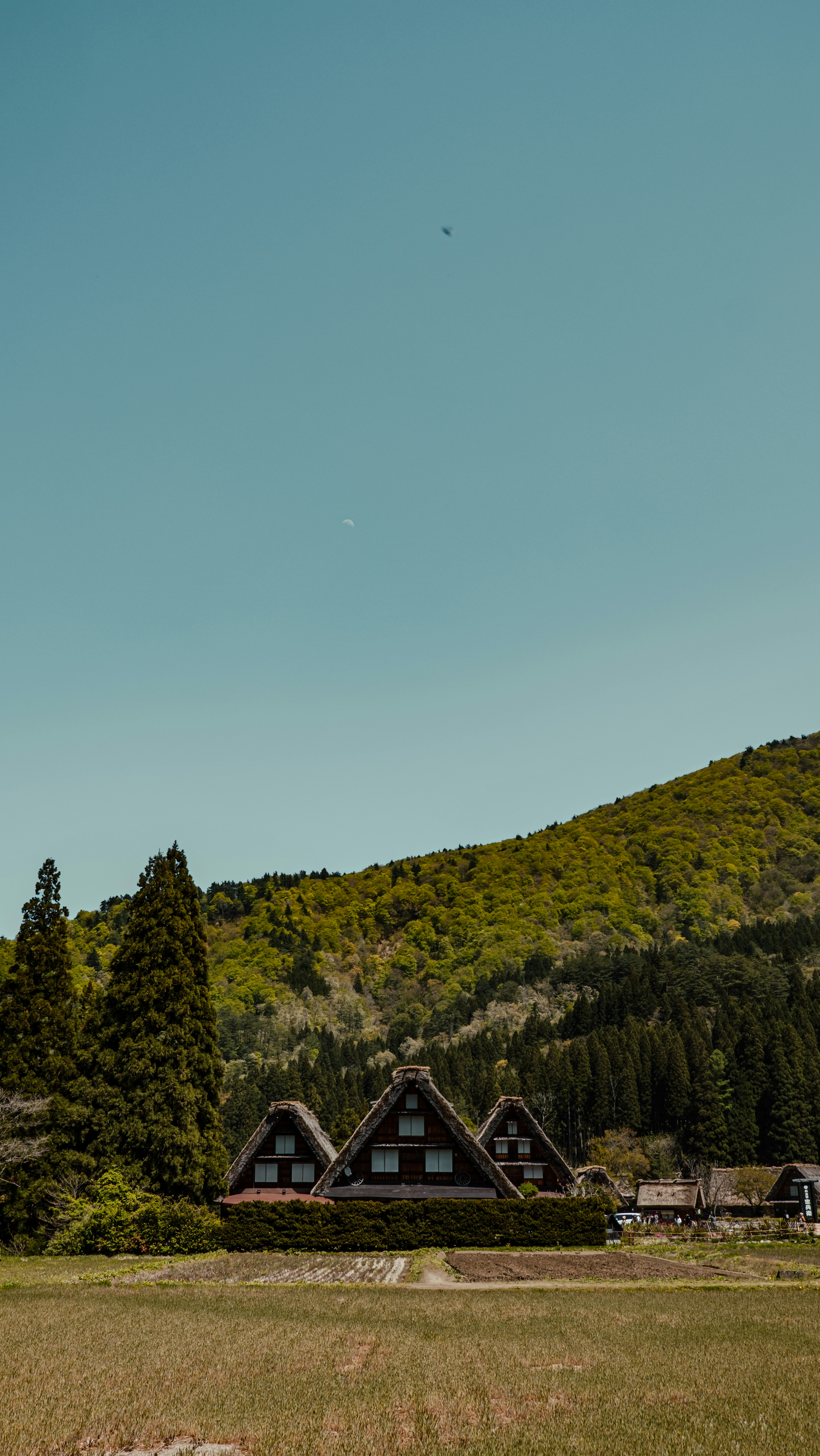 a grassy field with houses in the background