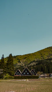 Traditional gassho-style thatched-roof houses are set against a backdrop of lush, verdant hills. The landscape is serene, with expansive open fields in the foreground and dense forests behind the houses, capturing a rural and idyllic setting.
