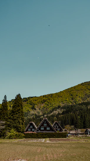 Traditional gassho-style thatched-roof houses are set against a backdrop of lush, verdant hills. The landscape is serene, with expansive open fields in the foreground and dense forests behind the houses, capturing a rural and idyllic setting.