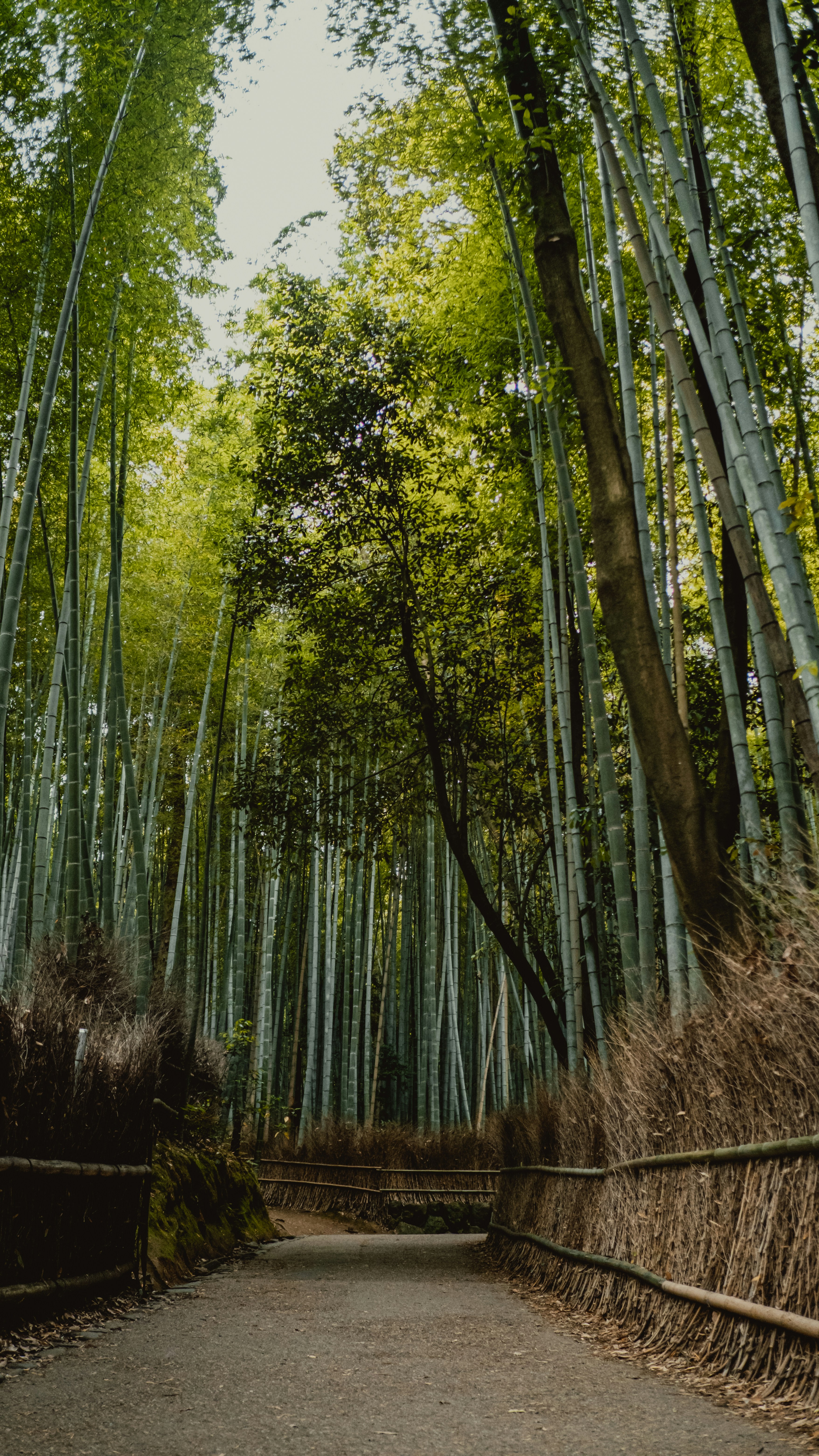 Photo by ilvagabiondo