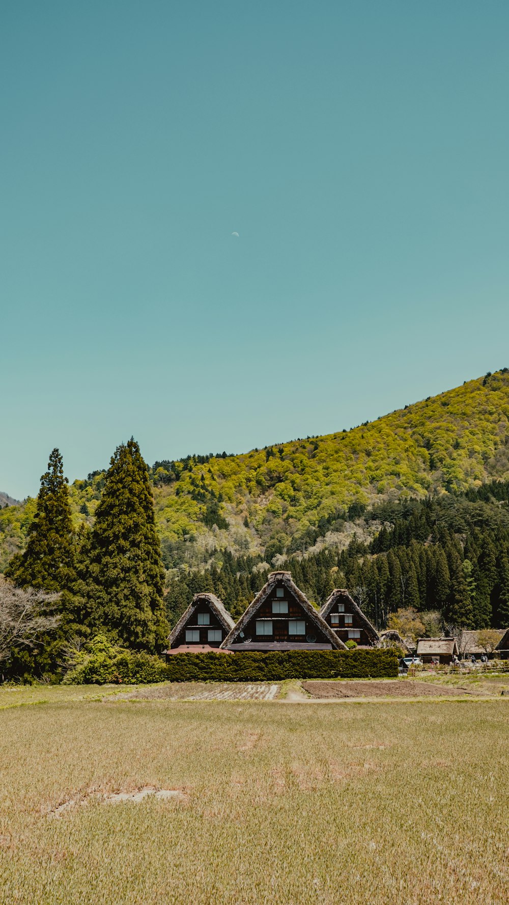 a grassy field with houses in the background