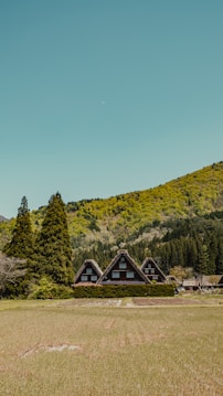 A serene rural landscape featuring traditional thatched-roof houses set against a background of lush green hills. Tall coniferous trees flank the houses, while an expansive field stretches into the foreground. The sky above is clear and blue, contributing to a tranquil atmosphere.