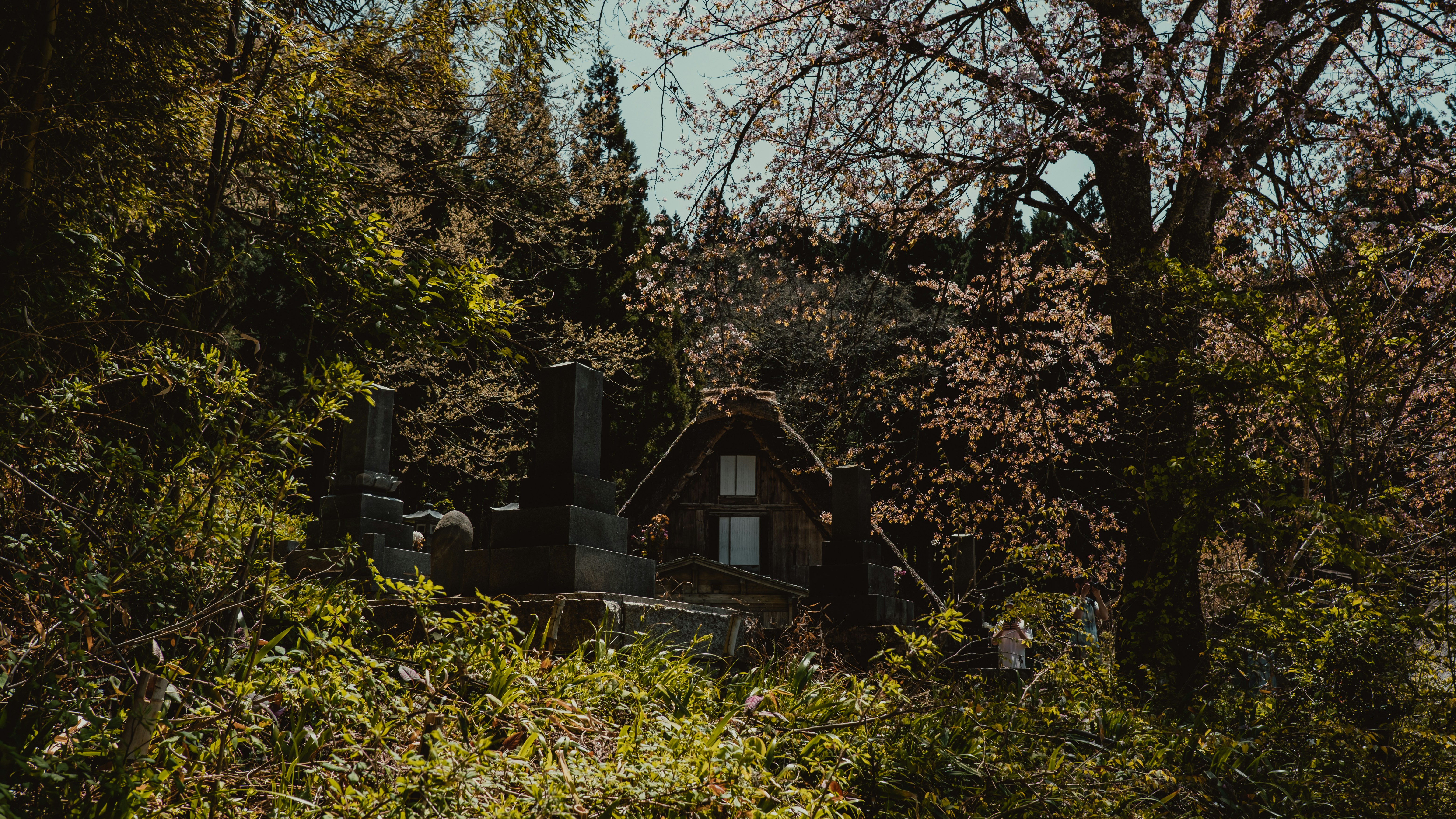 Photo by ilvagabiondo