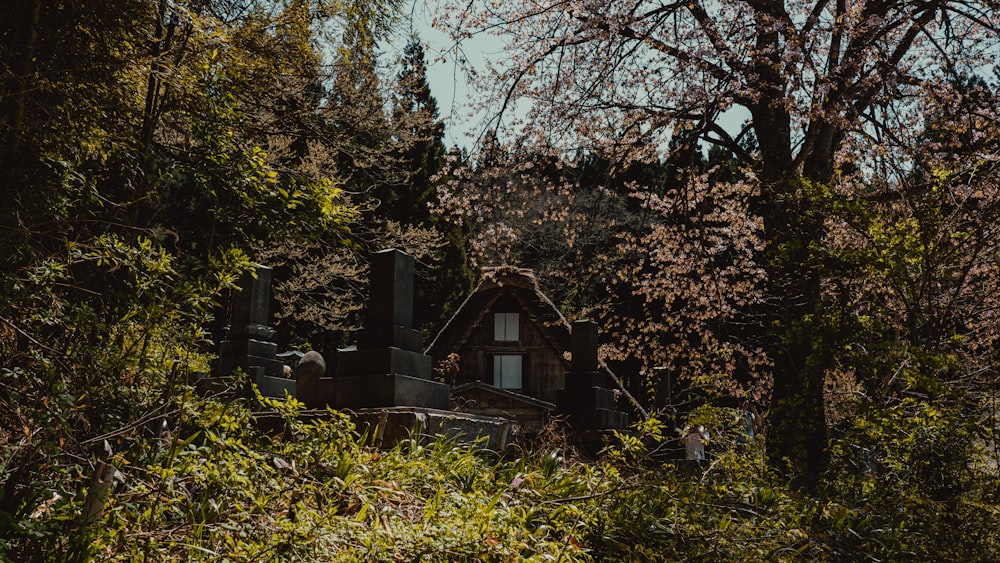 a house in the woods surrounded by trees