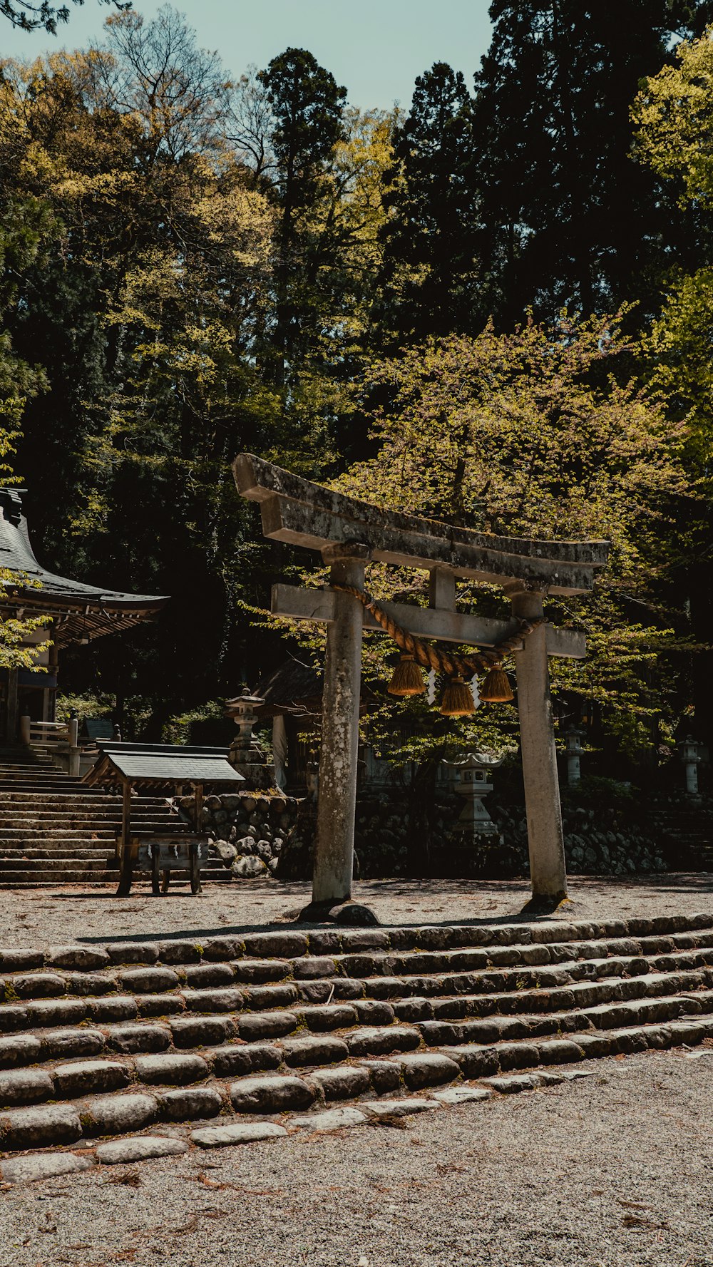 a couple of wooden pillars sitting in front of a forest