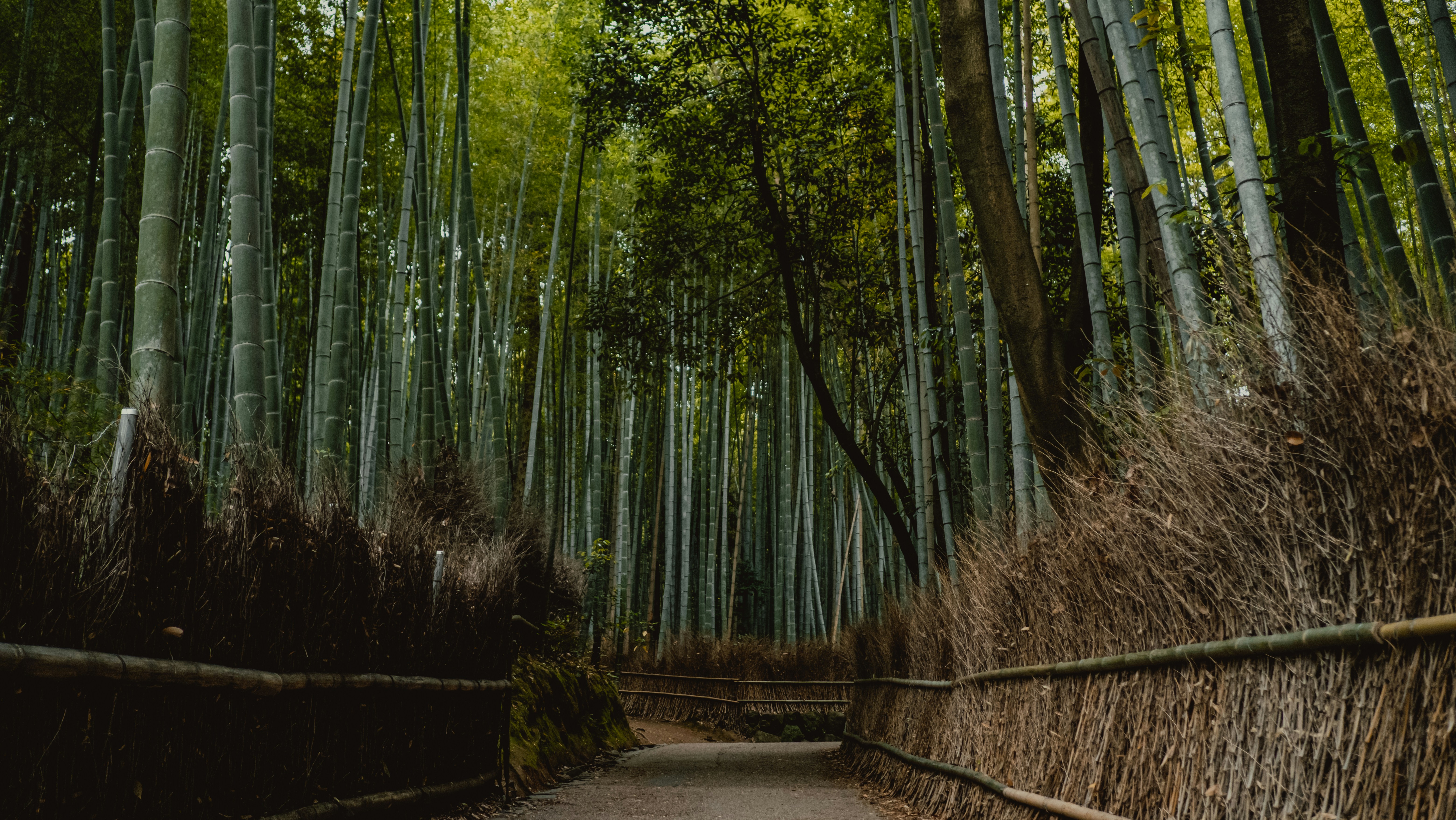 Photo by ilvagabiondo