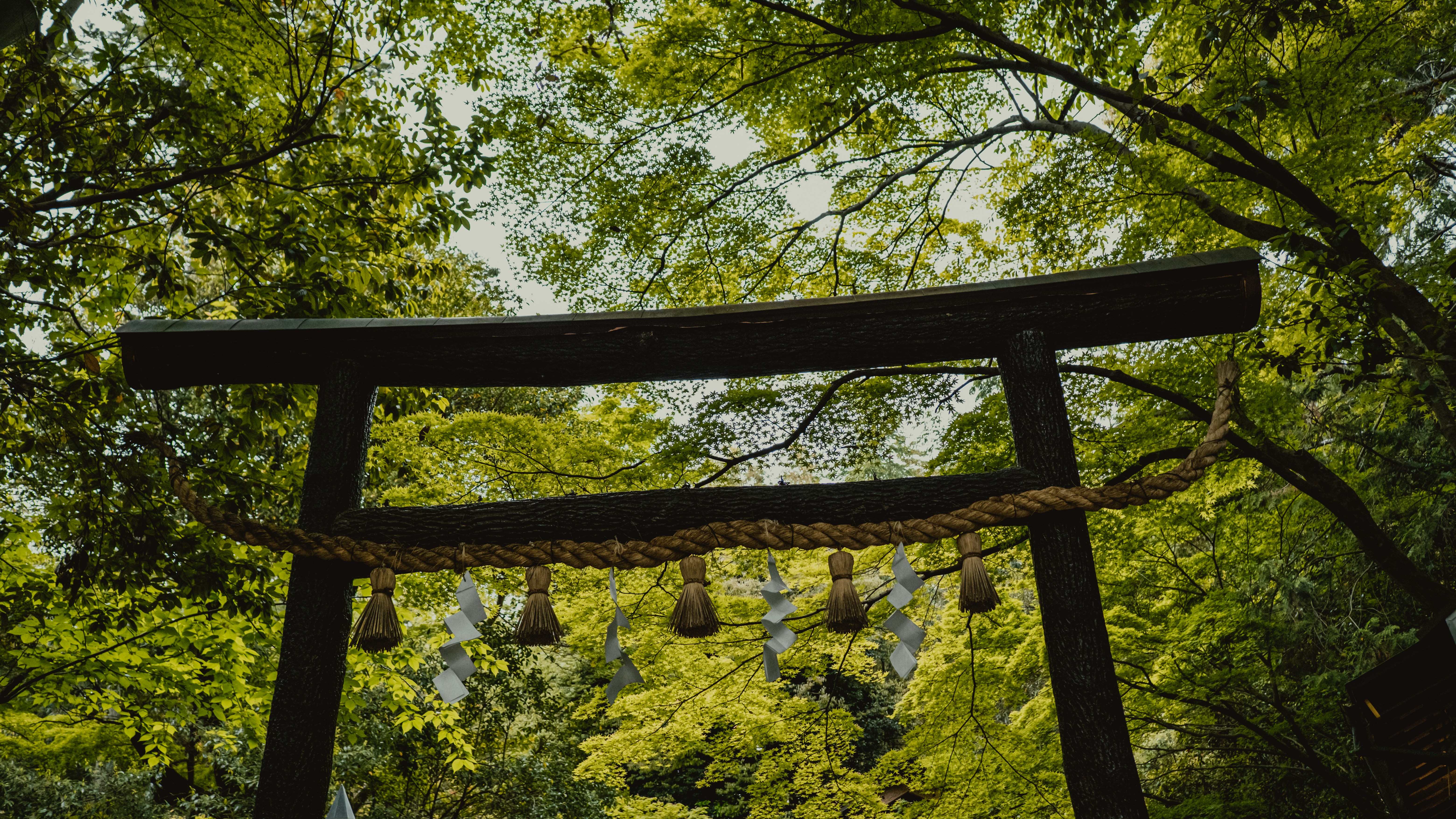 日記模式學家庭日常：看懂日文網頁從一句話開始– Ryuuu TV / 學日文看日本