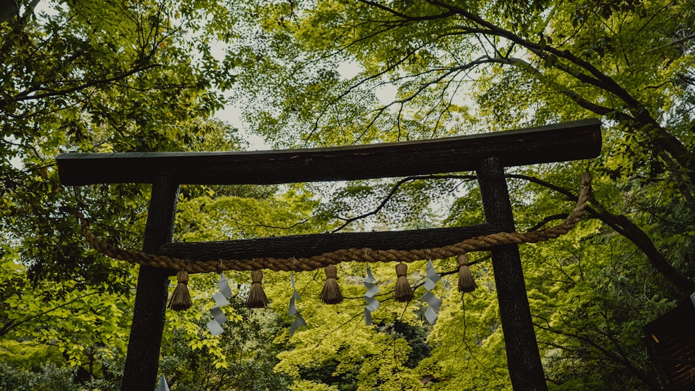 a wooden gate in the middle of a forest